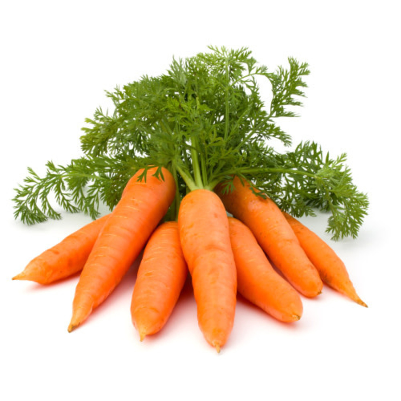 Carrots (seed pkg)