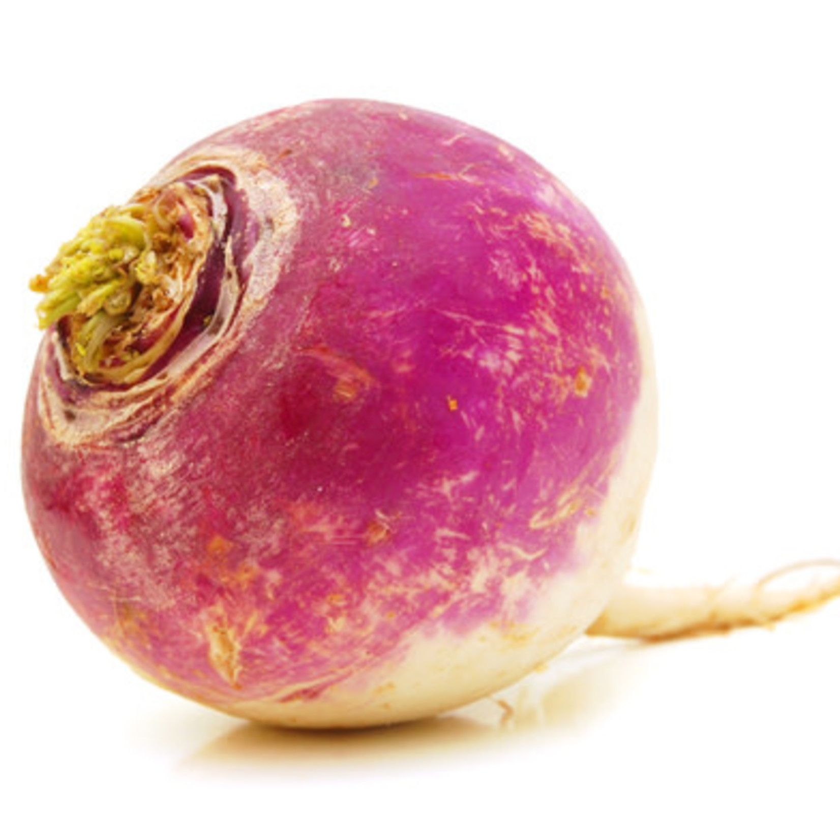Summer Turnip (seed pkg) - Purple Top W. Globe