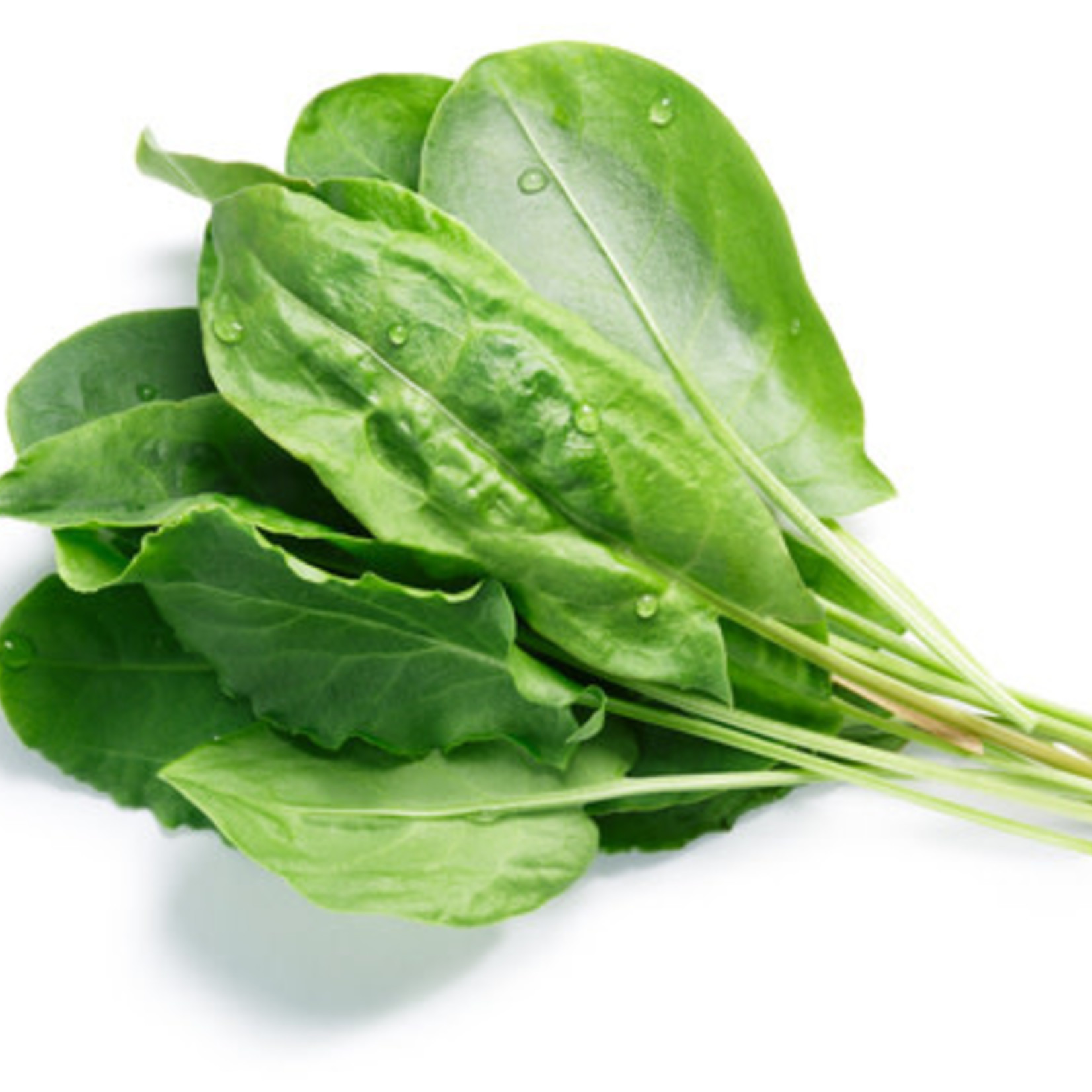 Spinach (seed pkg)