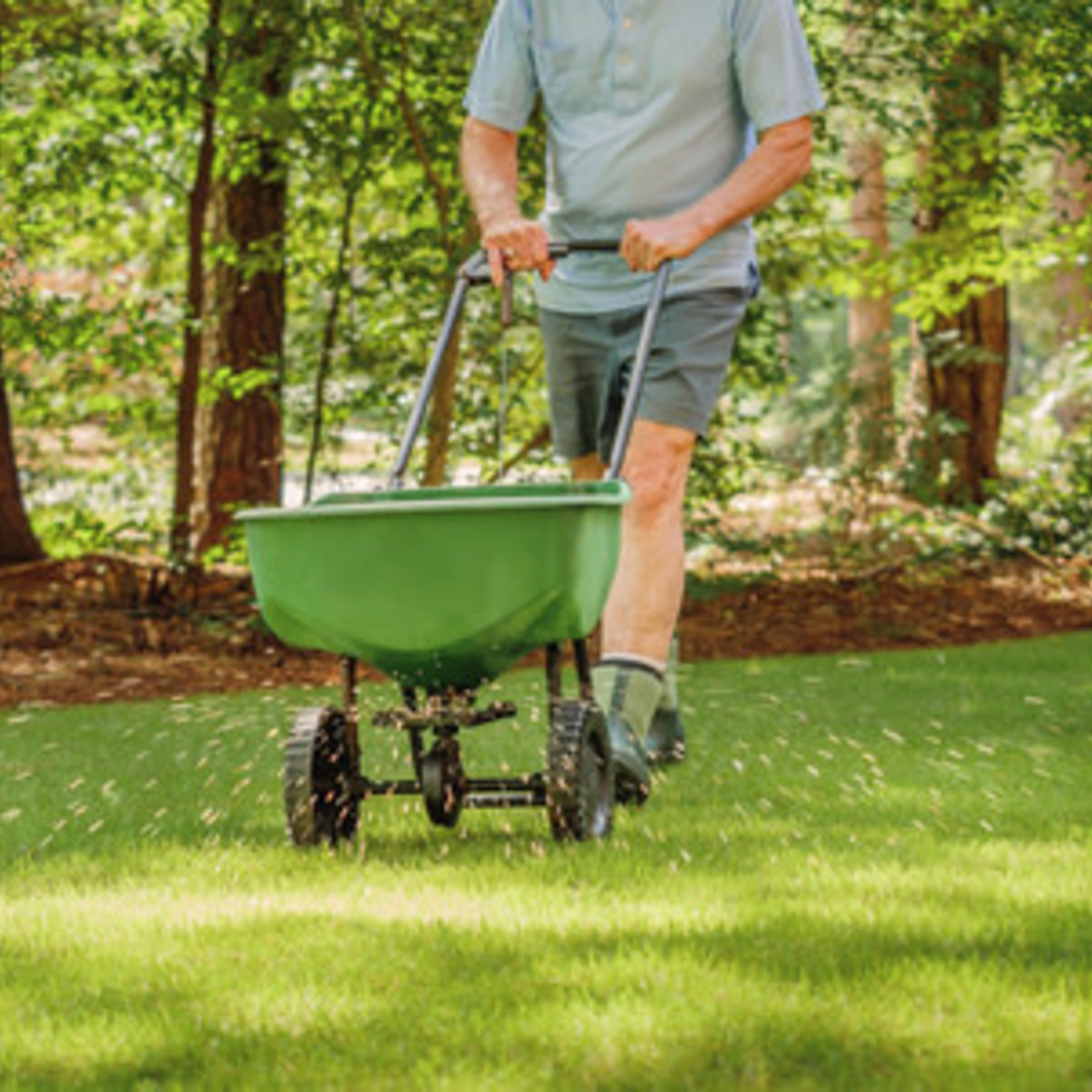 Lawn Fertilizer: Starter 8-32-16 - 25 kg