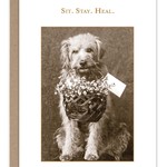 Get Well Card:  Sit Stay Heal