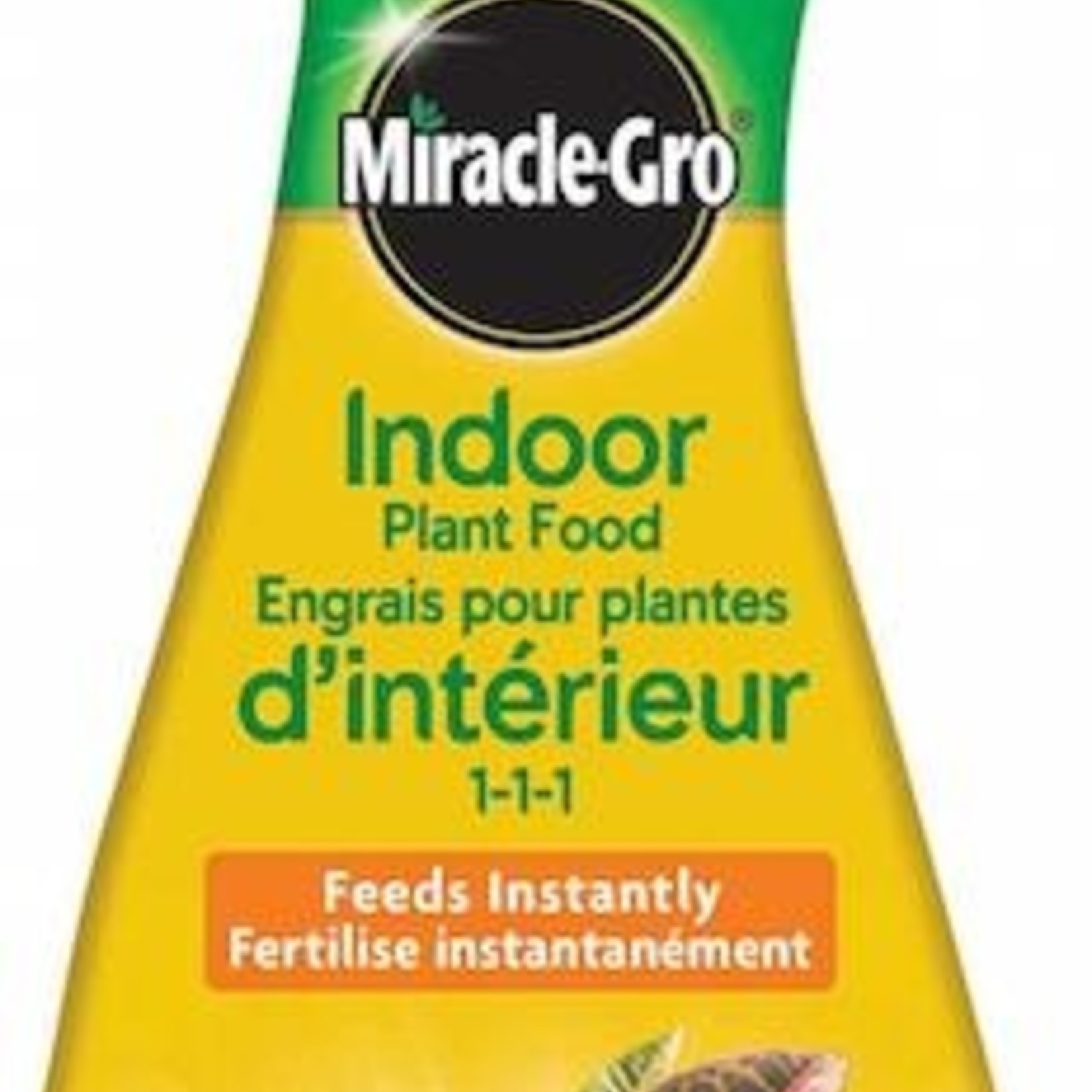 Miracle-Gro Indoor Plant Food (236 ml)