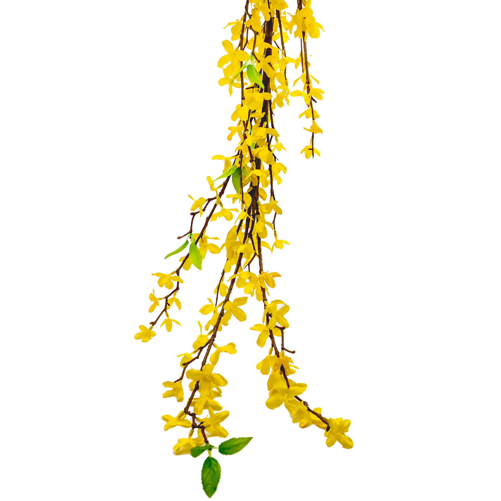 Pick - Yellow Forsythia 130cm