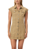 27 Miles Paige Dekalb Dress