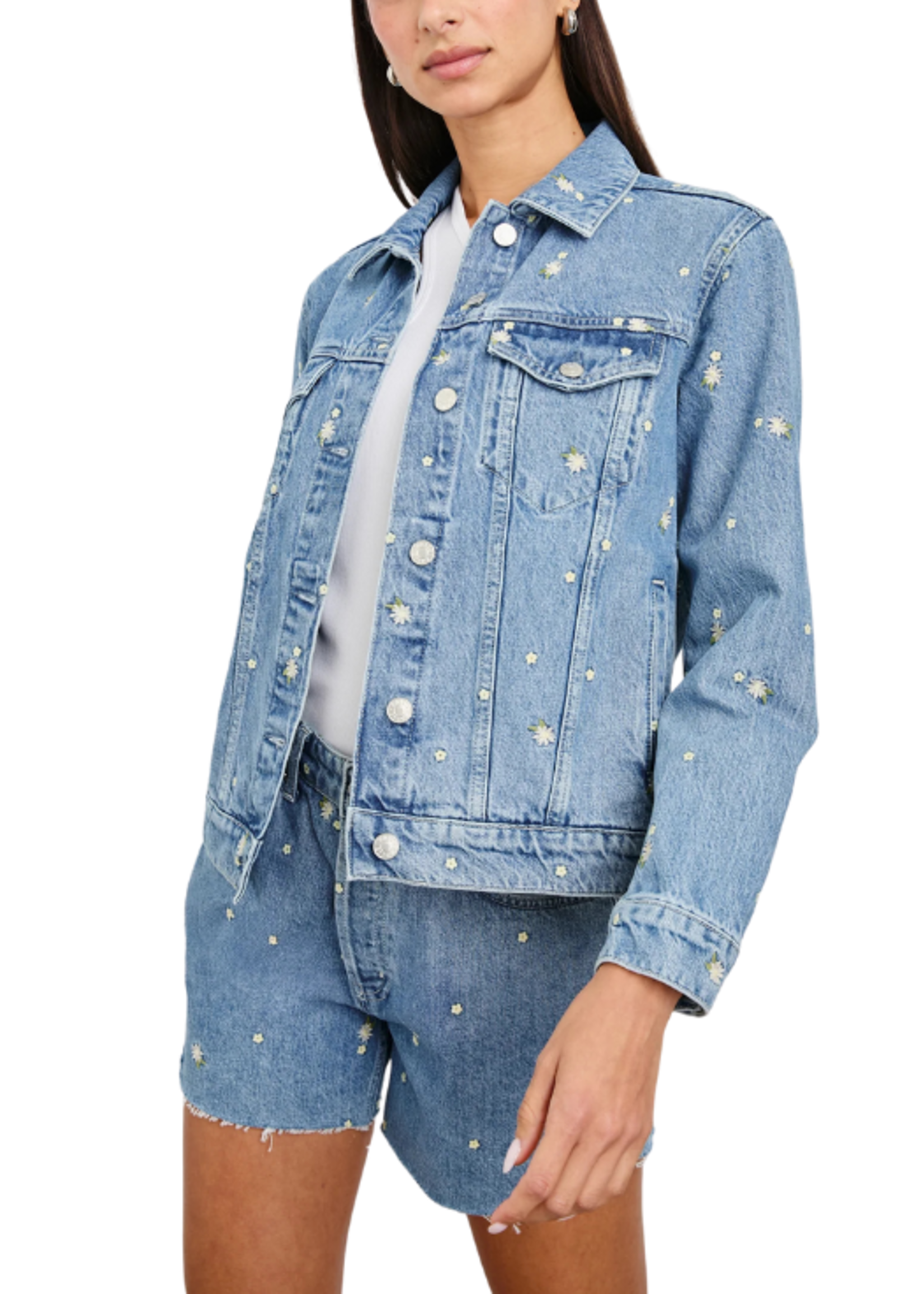Rails Rails Mulholland Jean Jacket