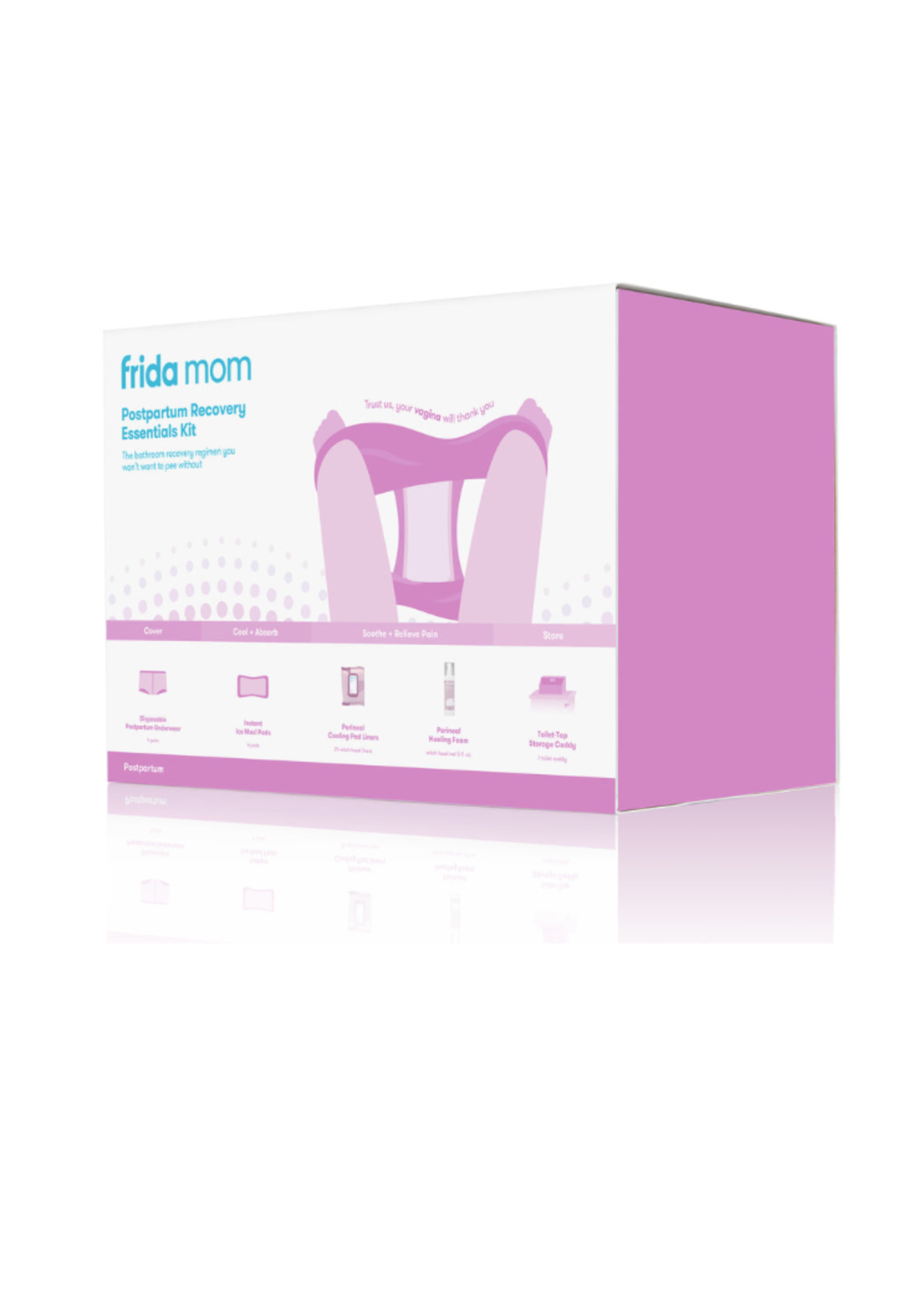 Frida Mom Labor and Delivery + Postpartum Recovery Kit - Steveston