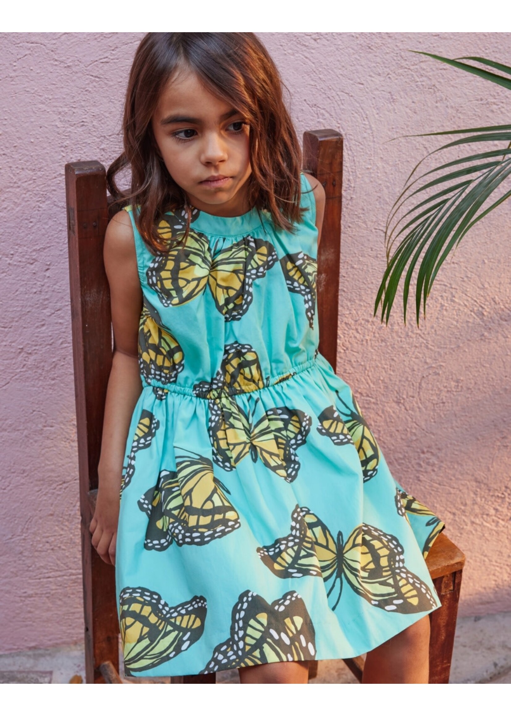 Tea Collection Tea Collection, Monarch Migration Sleeveless Skirted Dress