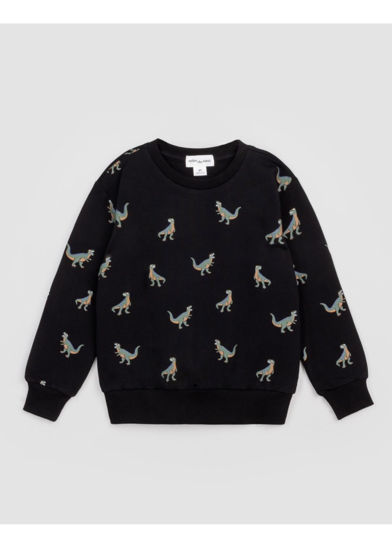 Miles the Label Miles the Label, T-Rex Print Sweatshirt || Black