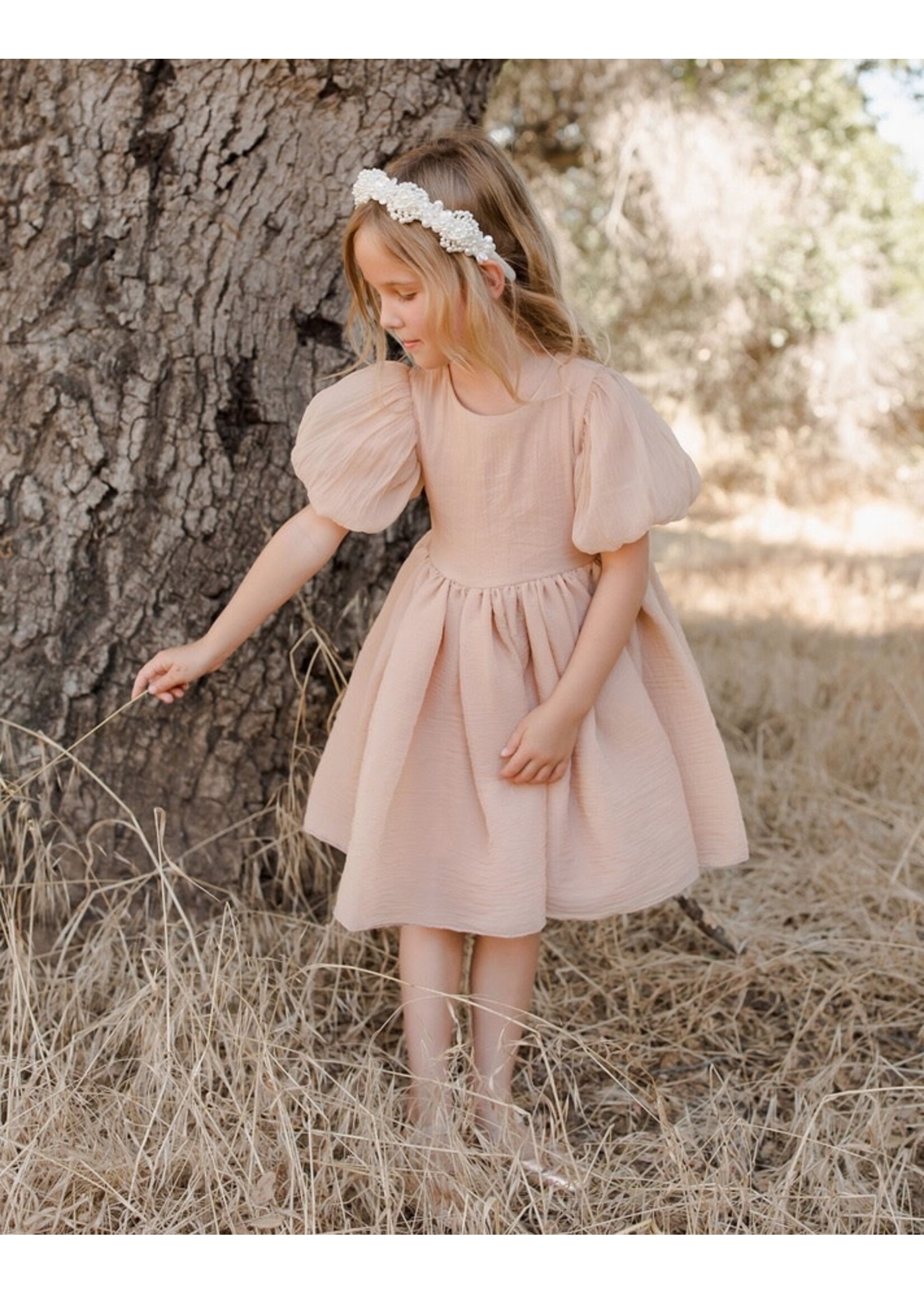 Noralee Noralee, Sofia Dress || Blush