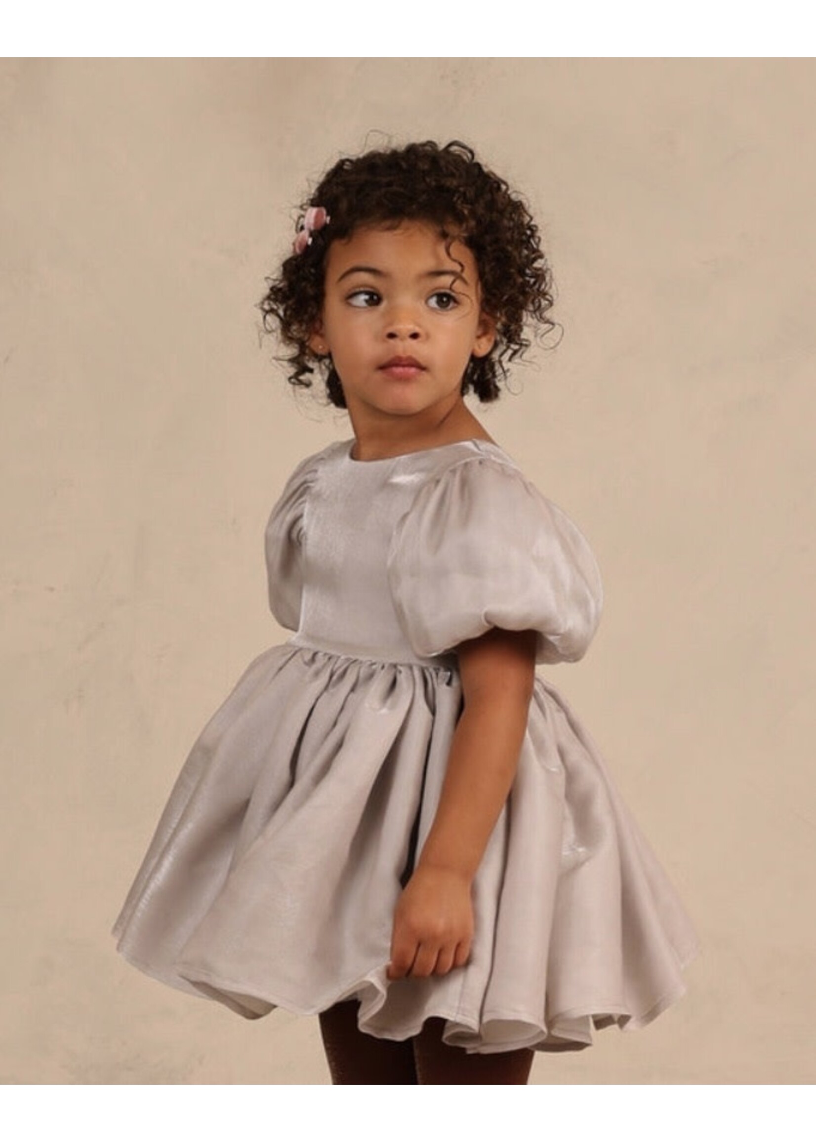 Noralee Noralee, Sofia Dress || Frost