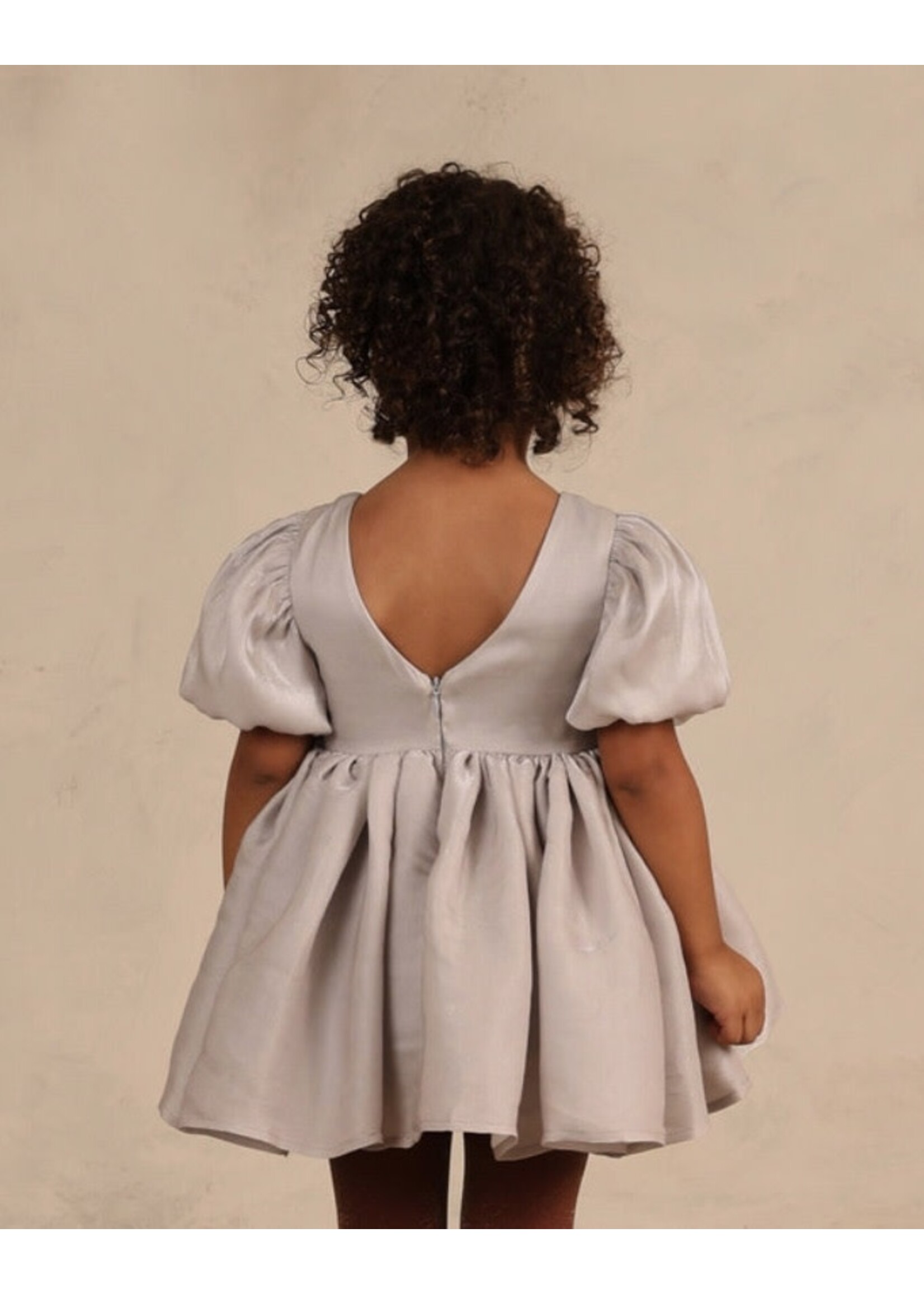 Noralee Noralee, Sofia Dress || Frost