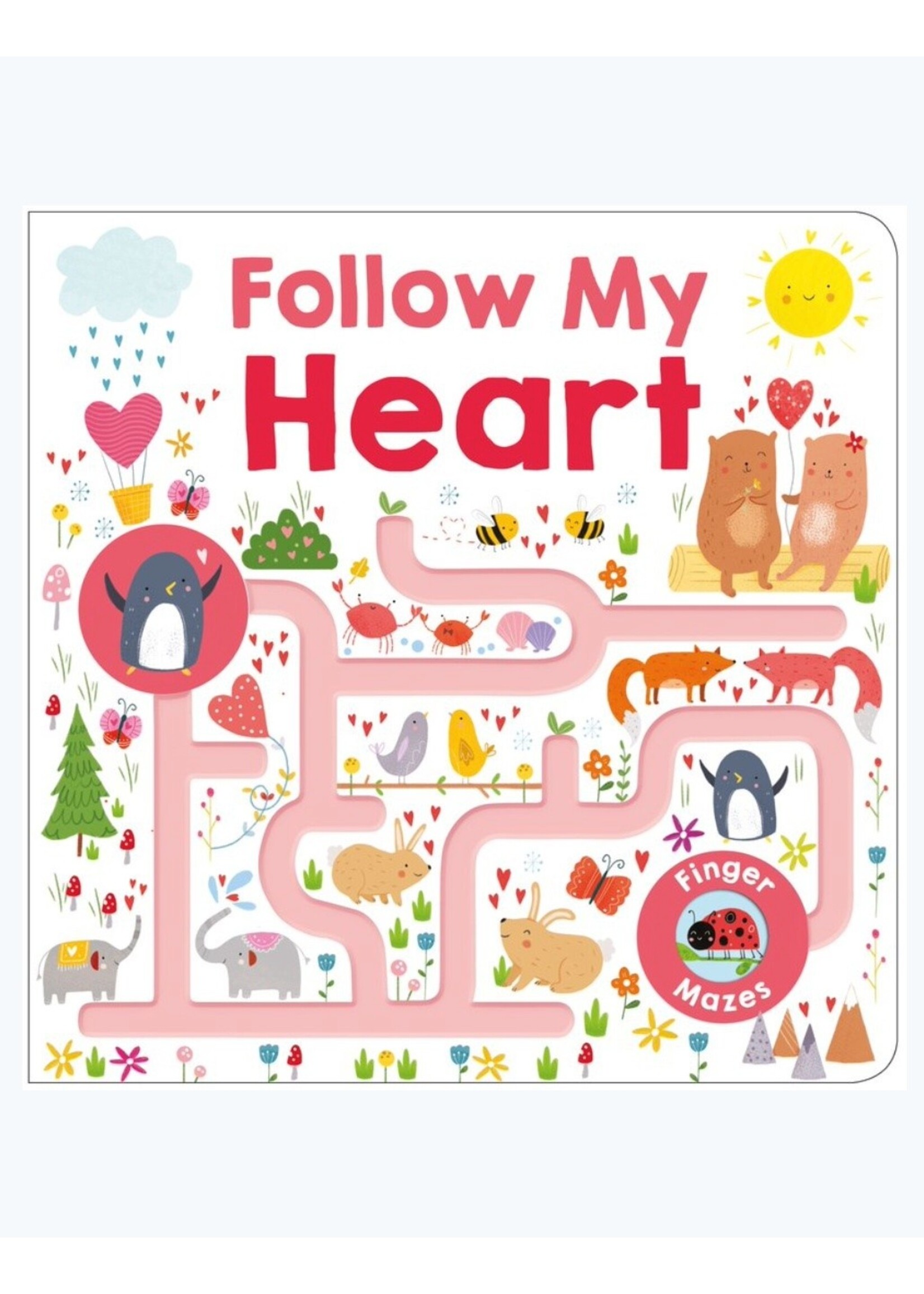 Raincoast Books Follow My Heart: Maze Book by Roger Priddy