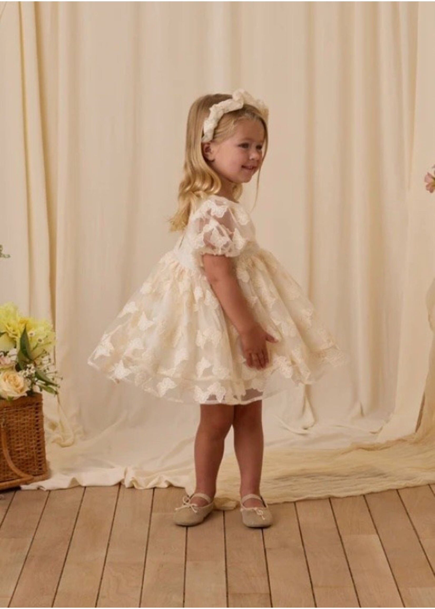 Noralee Luna Dress - Butterfly Noralee Luna Dress - Butterfly