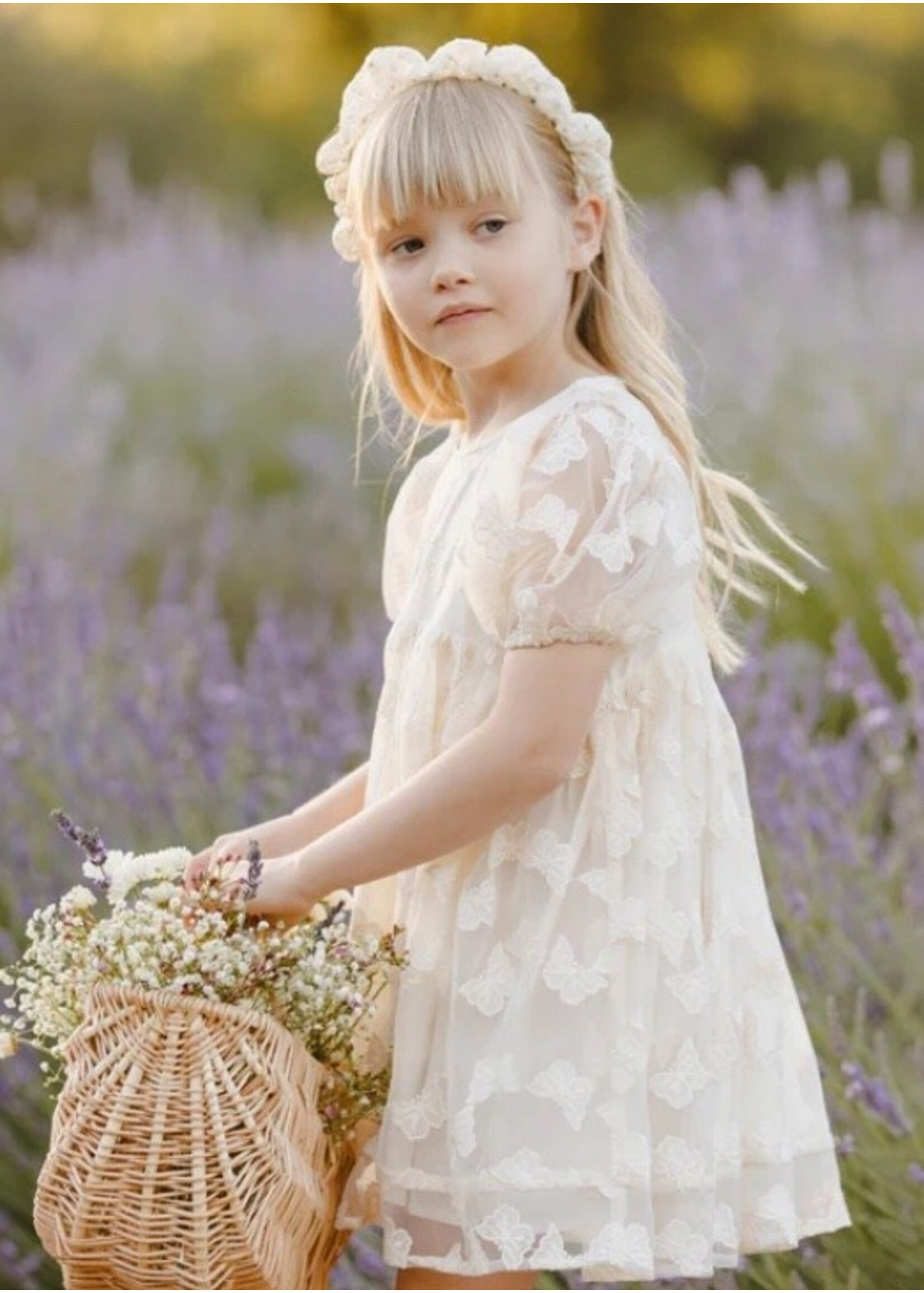 Noralee Luna Dress - Butterfly Noralee Luna Dress - Butterfly