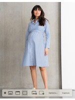 Seraphine Seraphine, Ariadne, Cotton & Lyocell Maternity & Nursing Stripe Shirt Dress || Blue /  White
