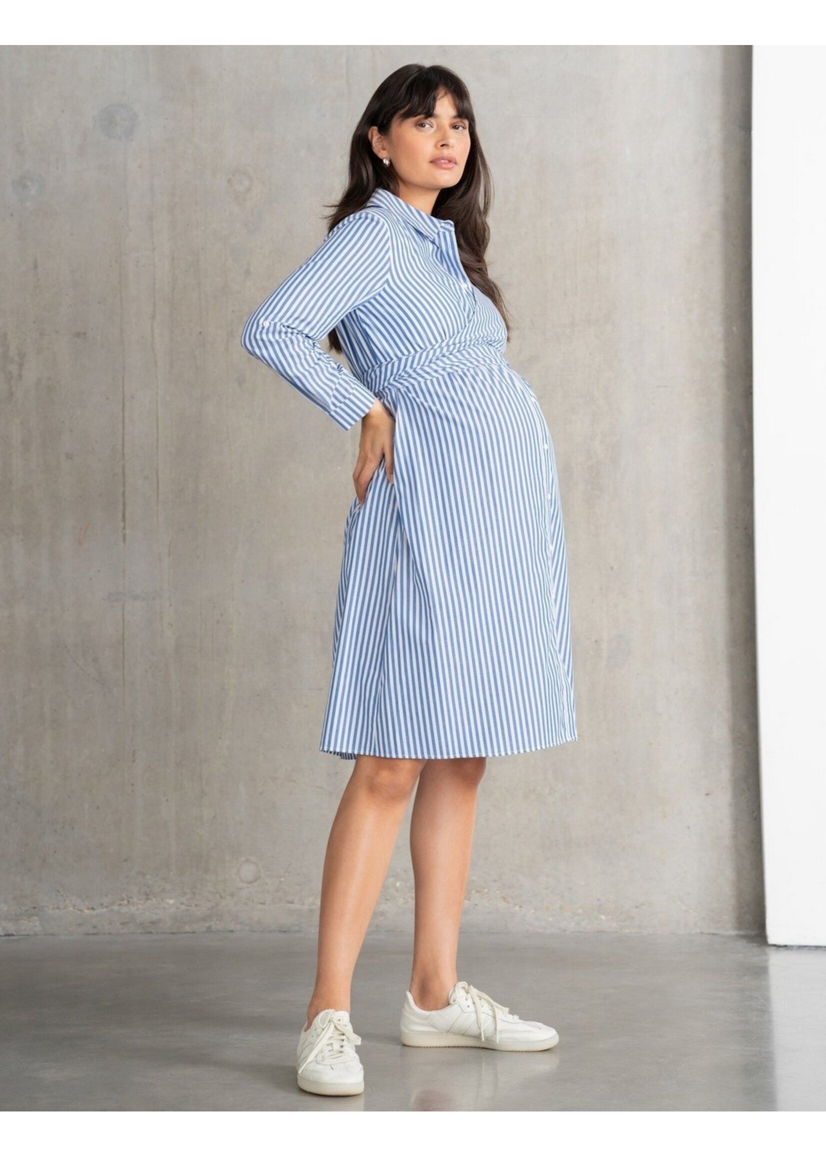 Seraphine Seraphine, Ariadne, Cotton & Lyocell Maternity & Nursing Stripe Shirt Dress || Blue /  White