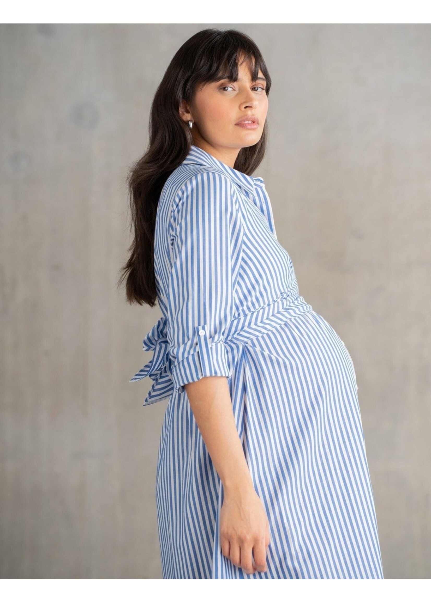 Seraphine Seraphine, Ariadne, Cotton & Lyocell Maternity & Nursing Stripe Shirt Dress || Blue /  White