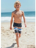 Feather 4 Arrow Feather 4 Arrow, Vintage Stripe Volley Trunk || Lava Rock