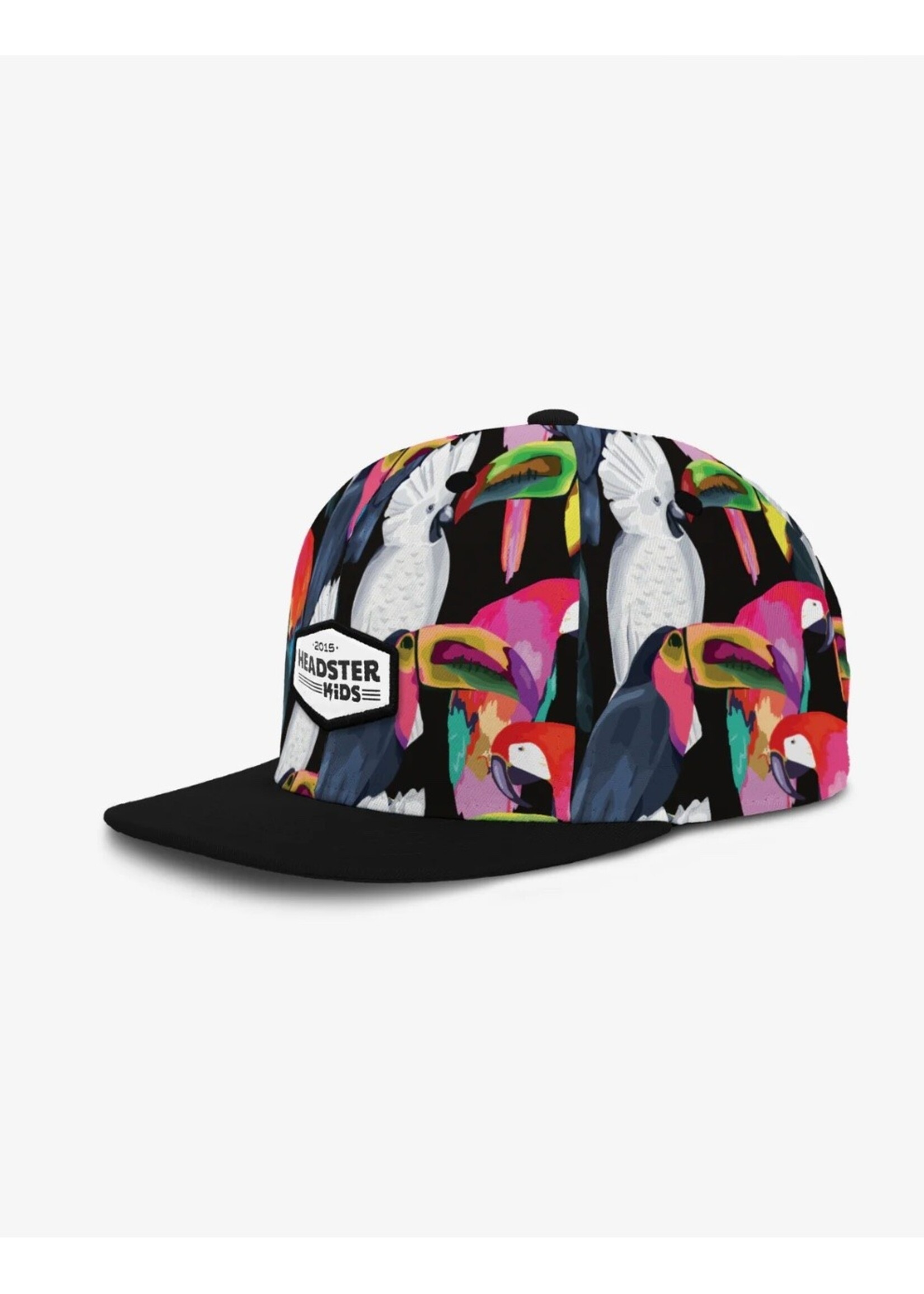 Headster Kids Headster Kids, Oasis Birds Snapback || Black