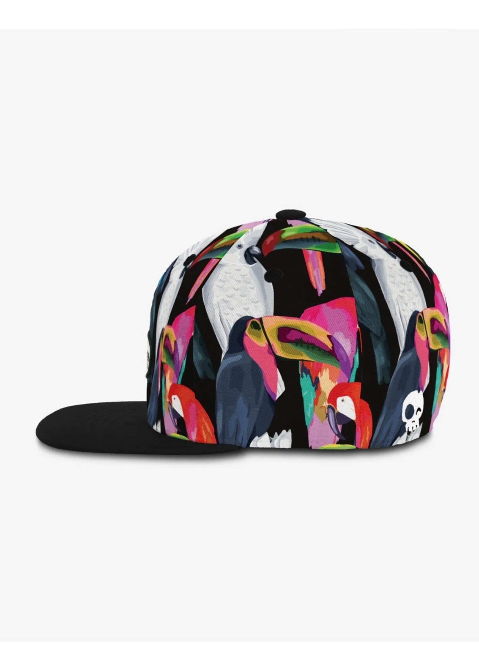 Headster Kids Headster Kids, Oasis Birds Snapback || Black