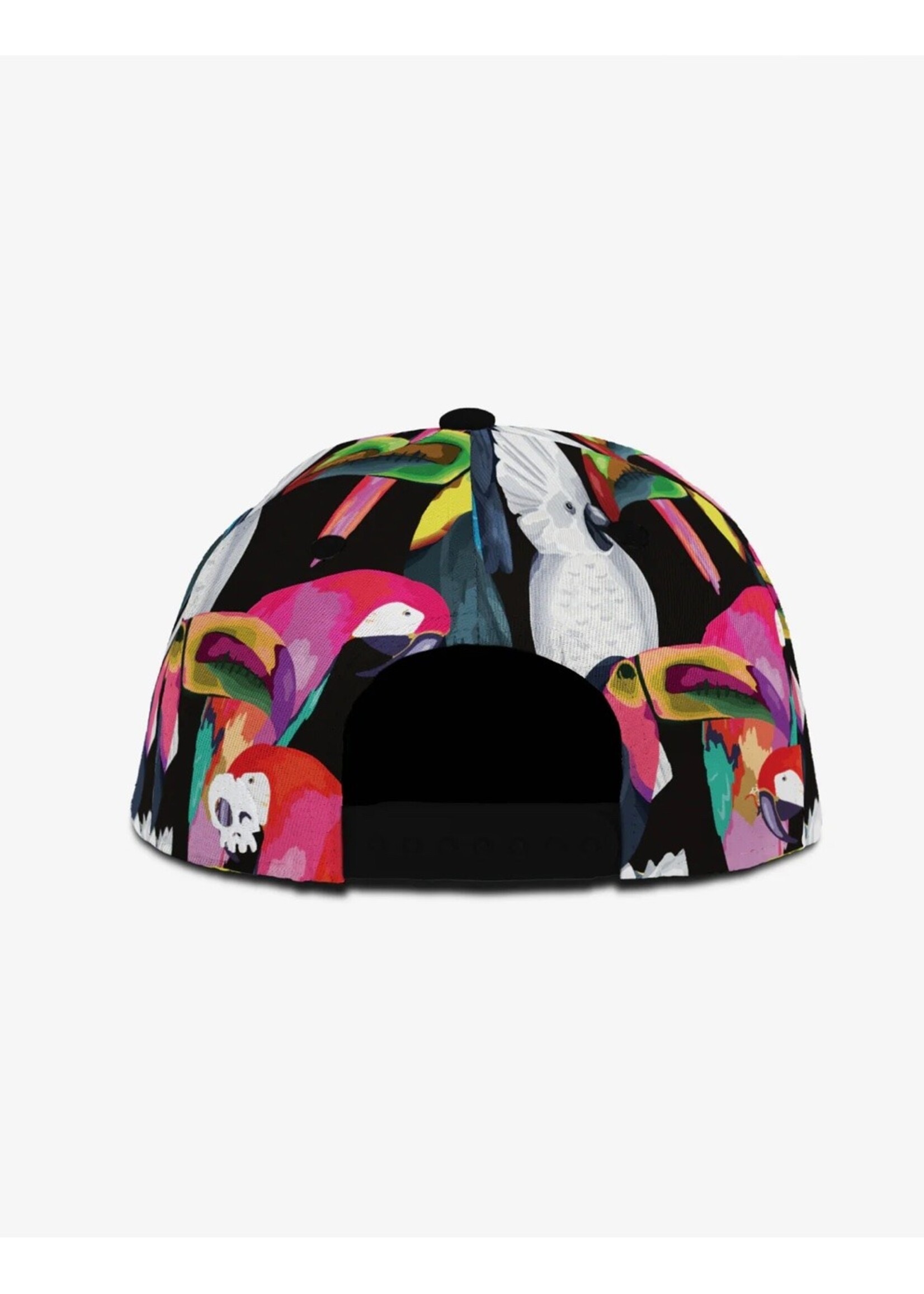 Headster Kids Headster Kids, Oasis Birds Snapback || Black