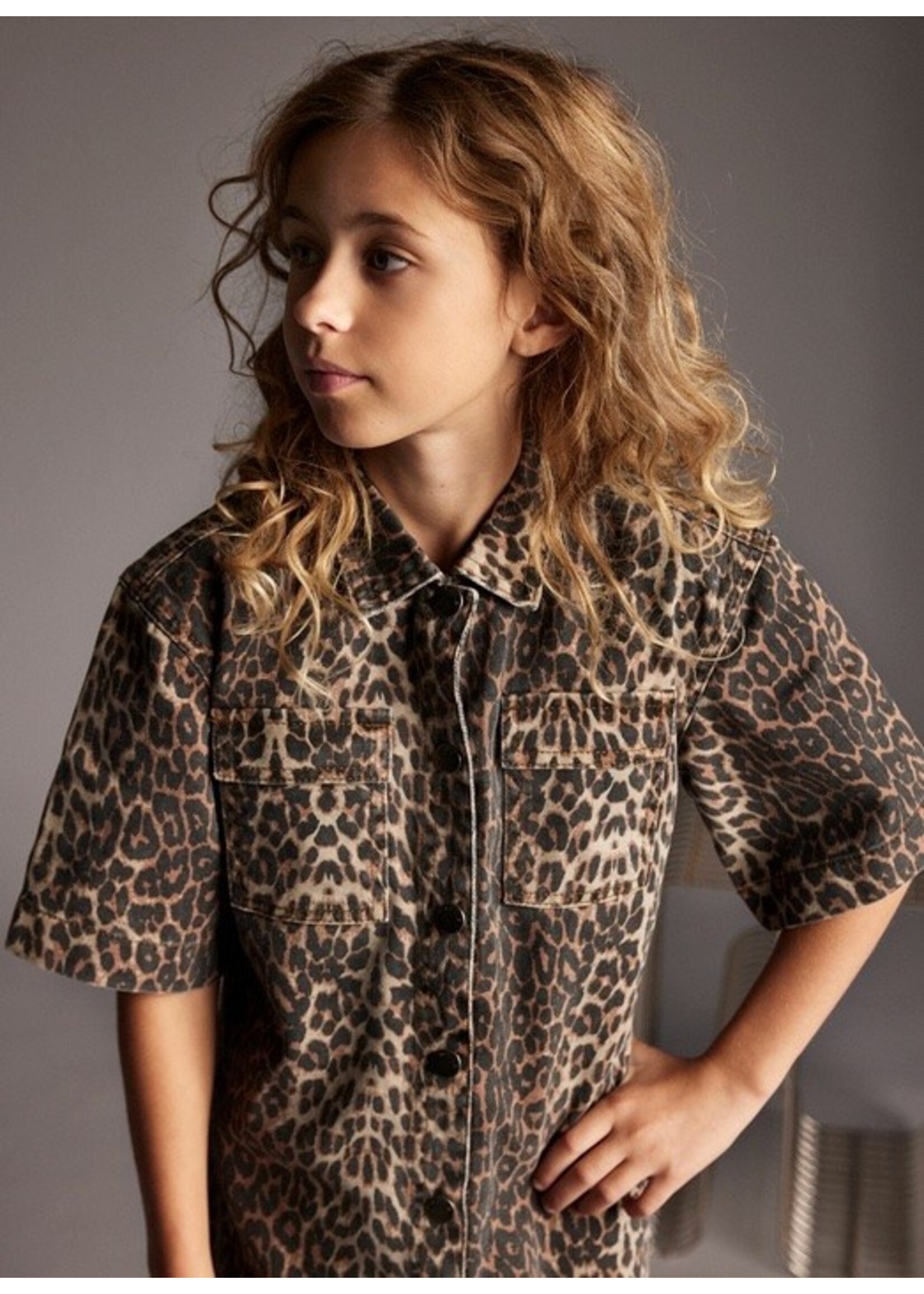 Creamie Creamie, Print Denim Dress  || Loepard