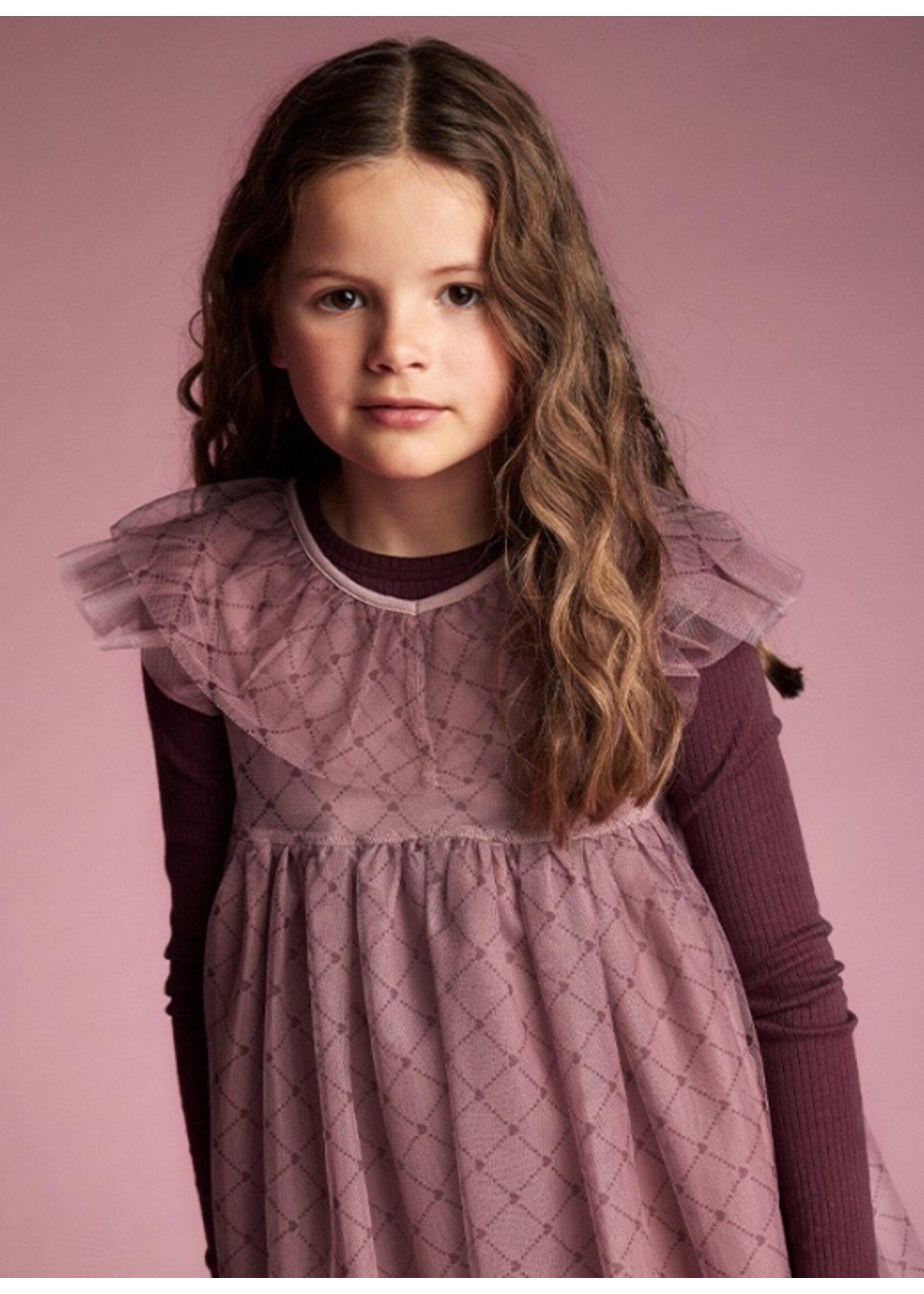 Creamie Creamie, Purple Hearts Mesh Dress || Woodrose