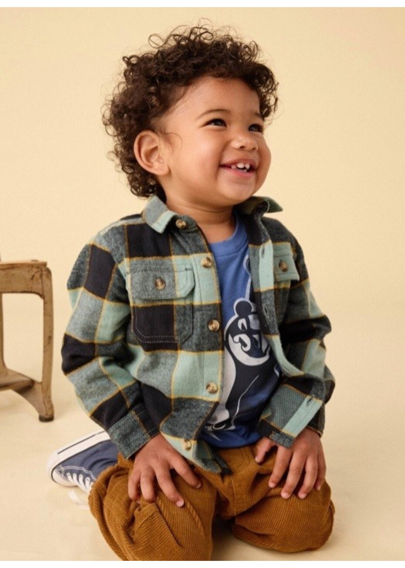 Tea Collection Tea Collection, Flannel Button Up Shirt || Forest Plaid