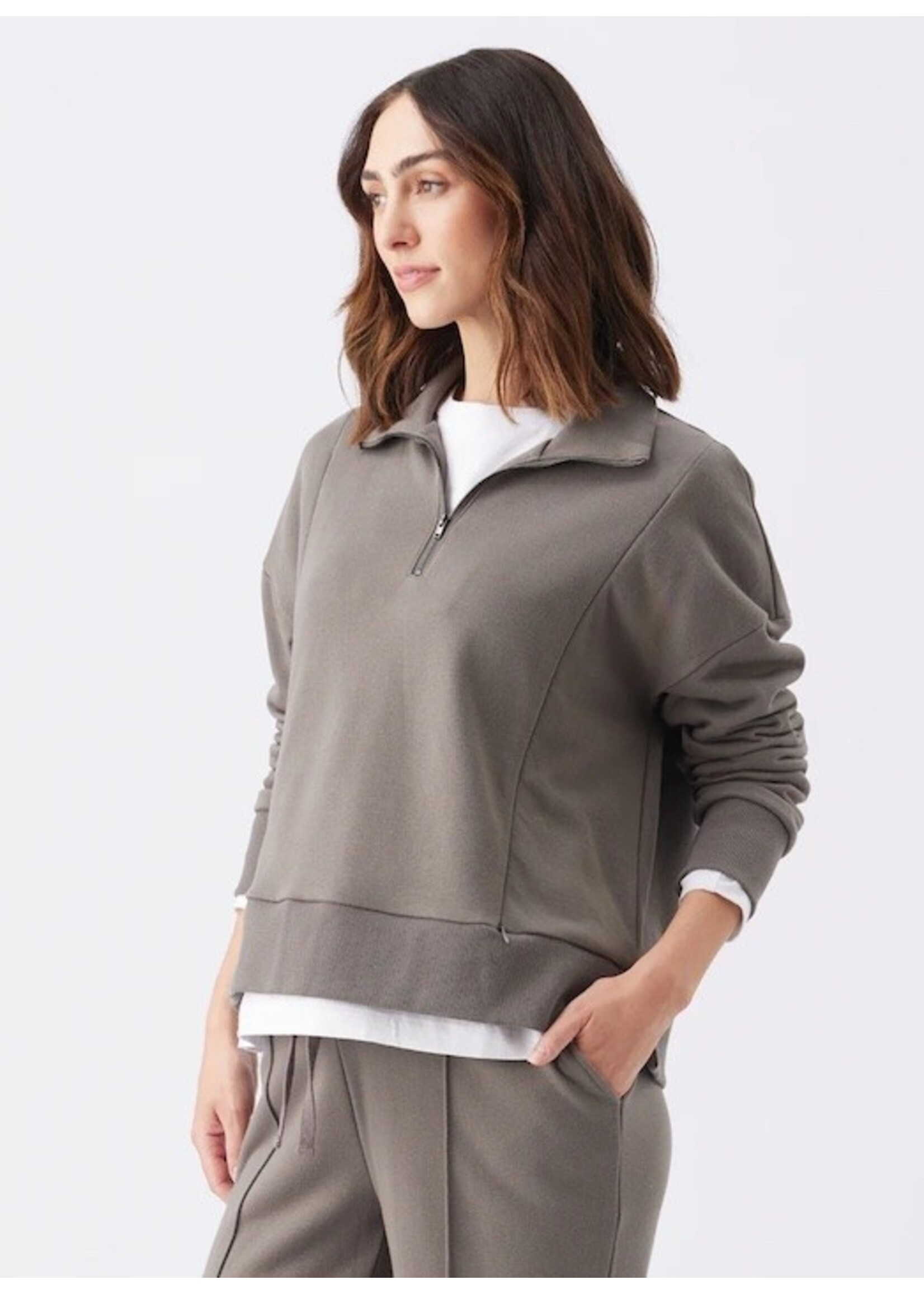 Ripe Maternity Ripe Maternity, Terry Nursing Maternity and Nursing Sweatshirt || Earth