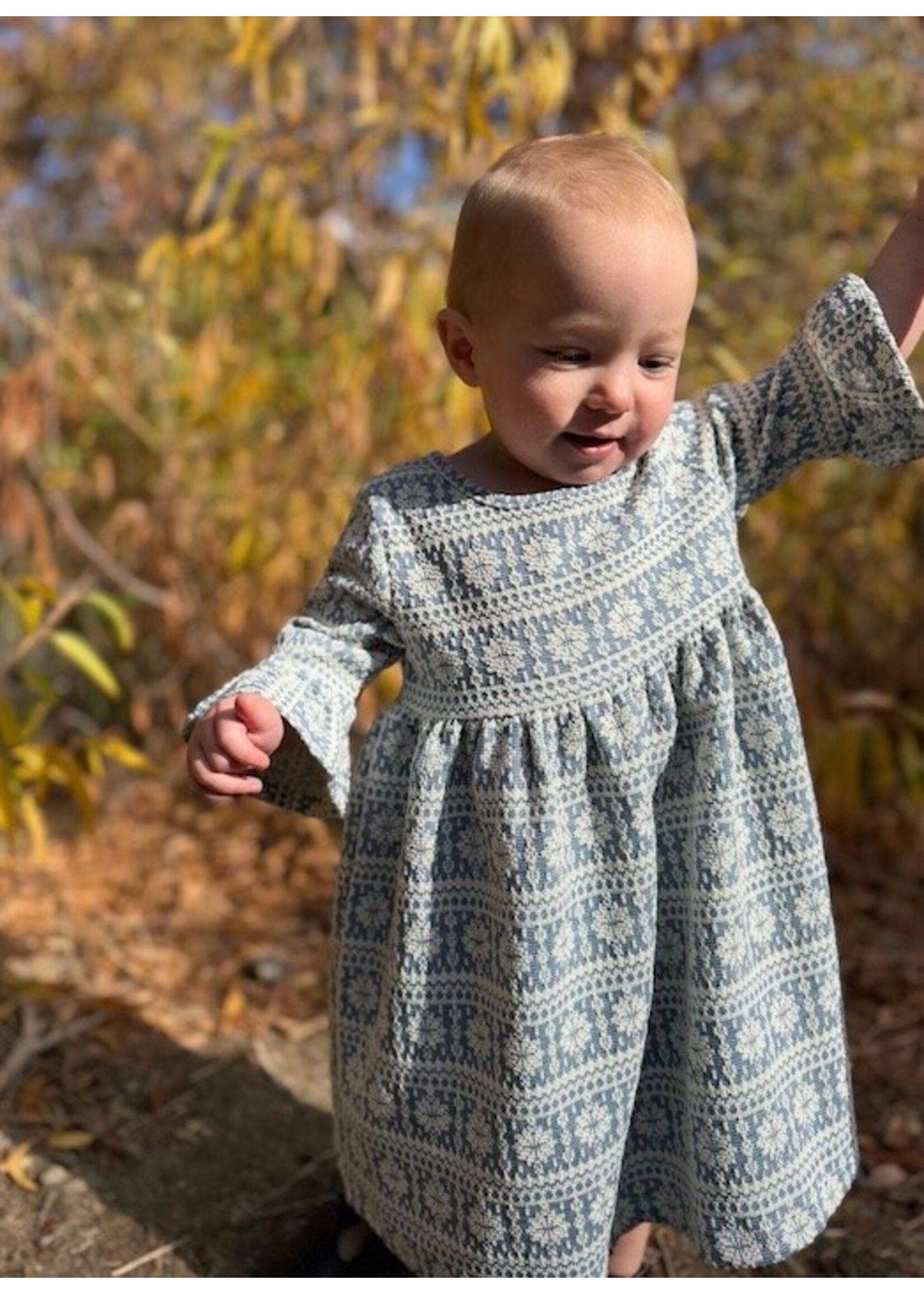 Vignette Vignette, Paige Snowflake Tapestry Dress || Blue