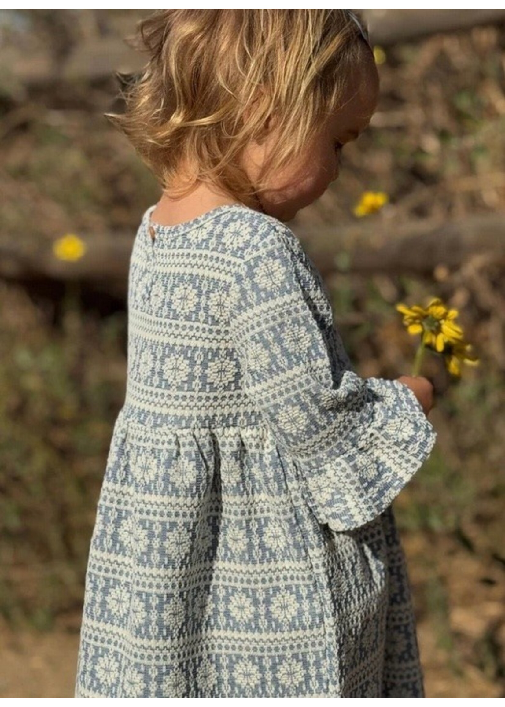 Vignette Vignette, Paige Snowflake Tapestry Dress || Blue