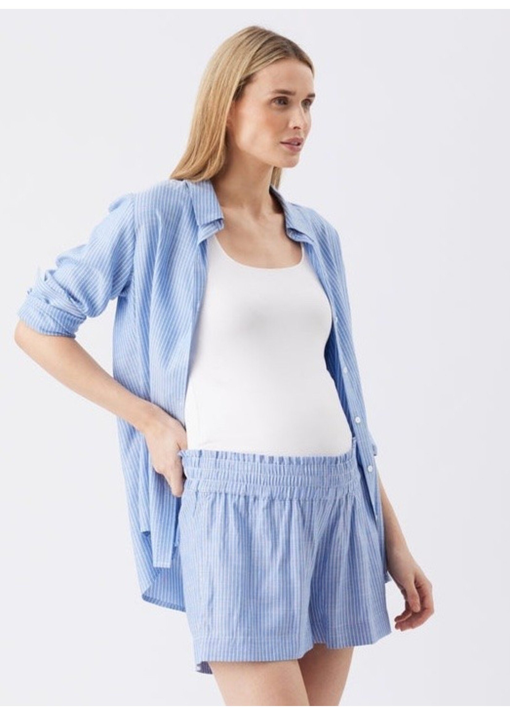 Ripe Maternity Ripe Maternity, Abby Stripe Shirt || Blue / White