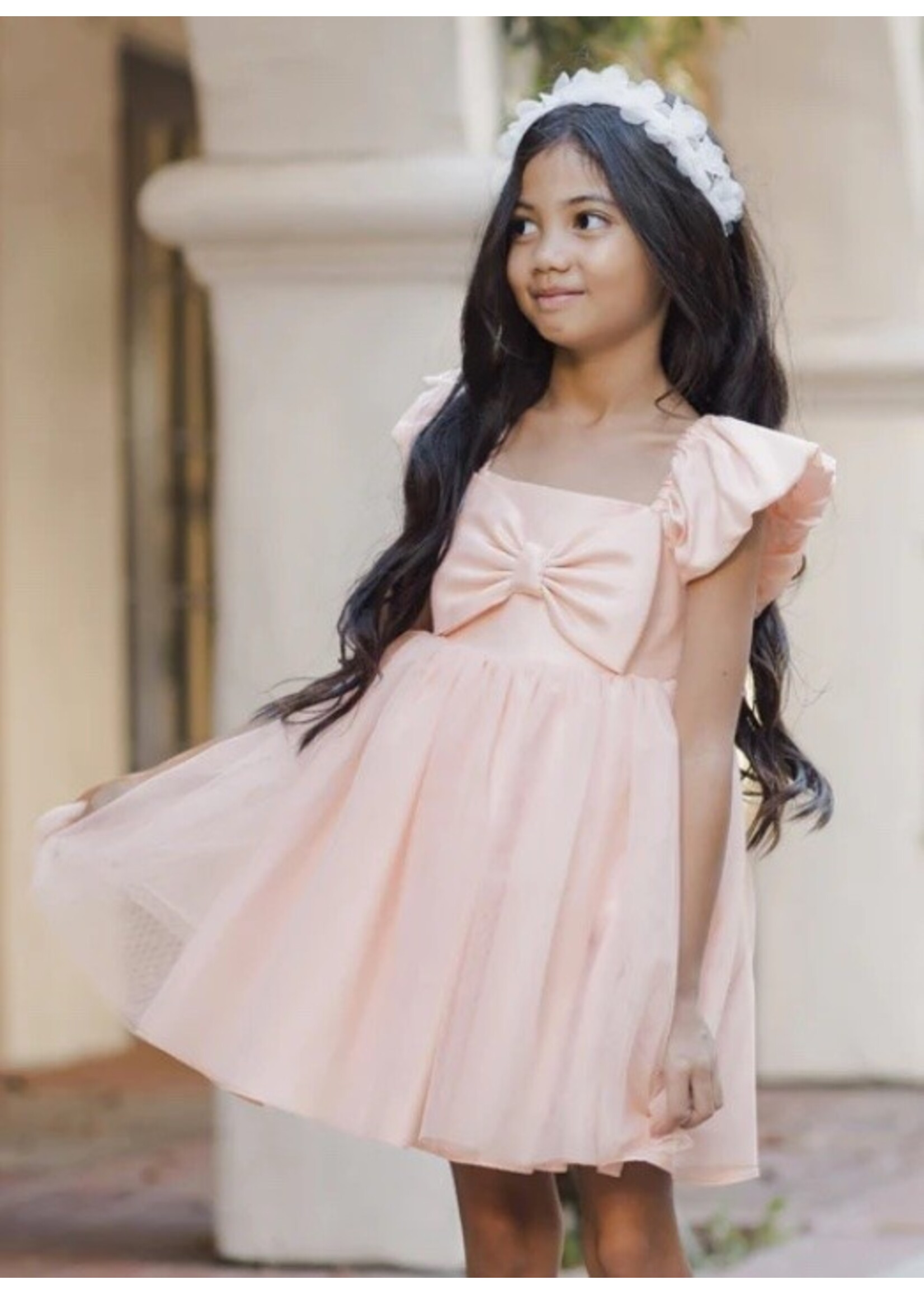 Noralee Noralee, Madeline Dress || Blush
