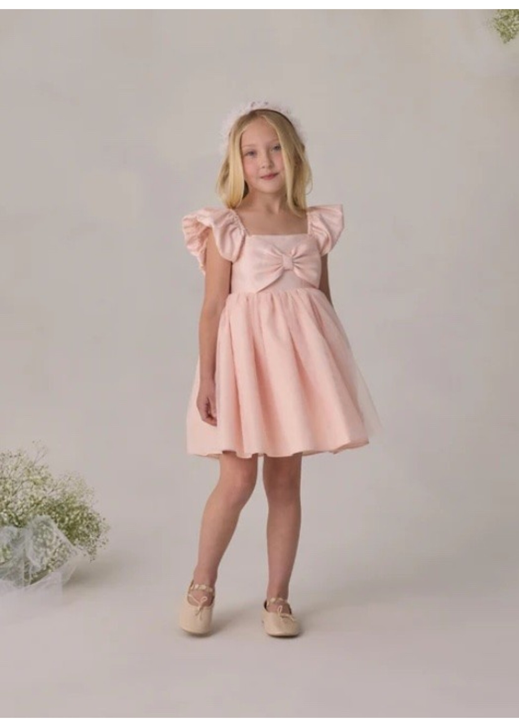 Noralee Noralee, Madeline Dress || Blush