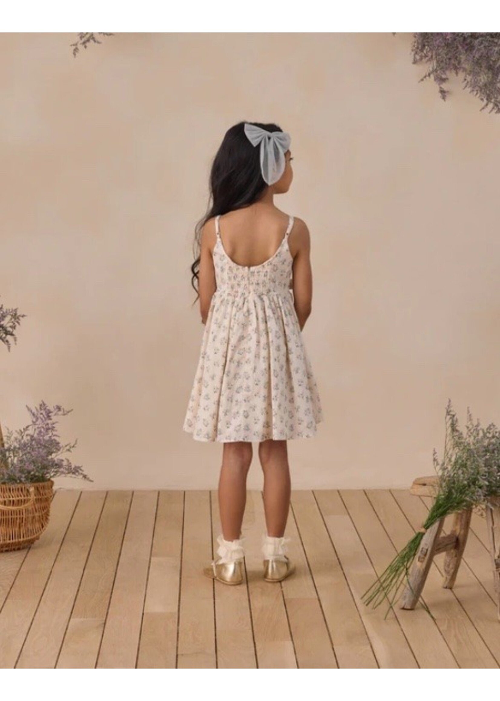 Noralee Noralee, Betsy Dress || Summer Ditsy