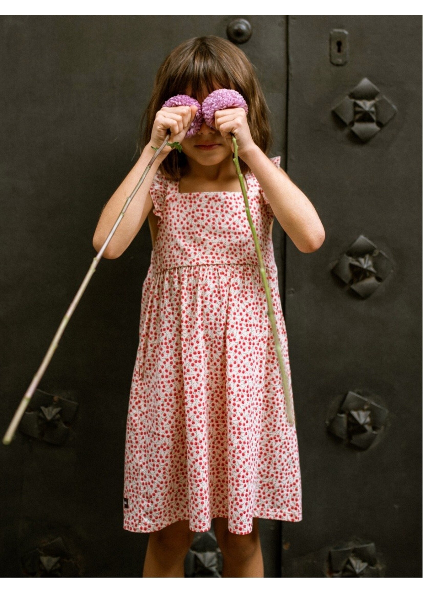 Tea Collection Tea Collection, Ruffle Strap Dress || Mini Rose Toss