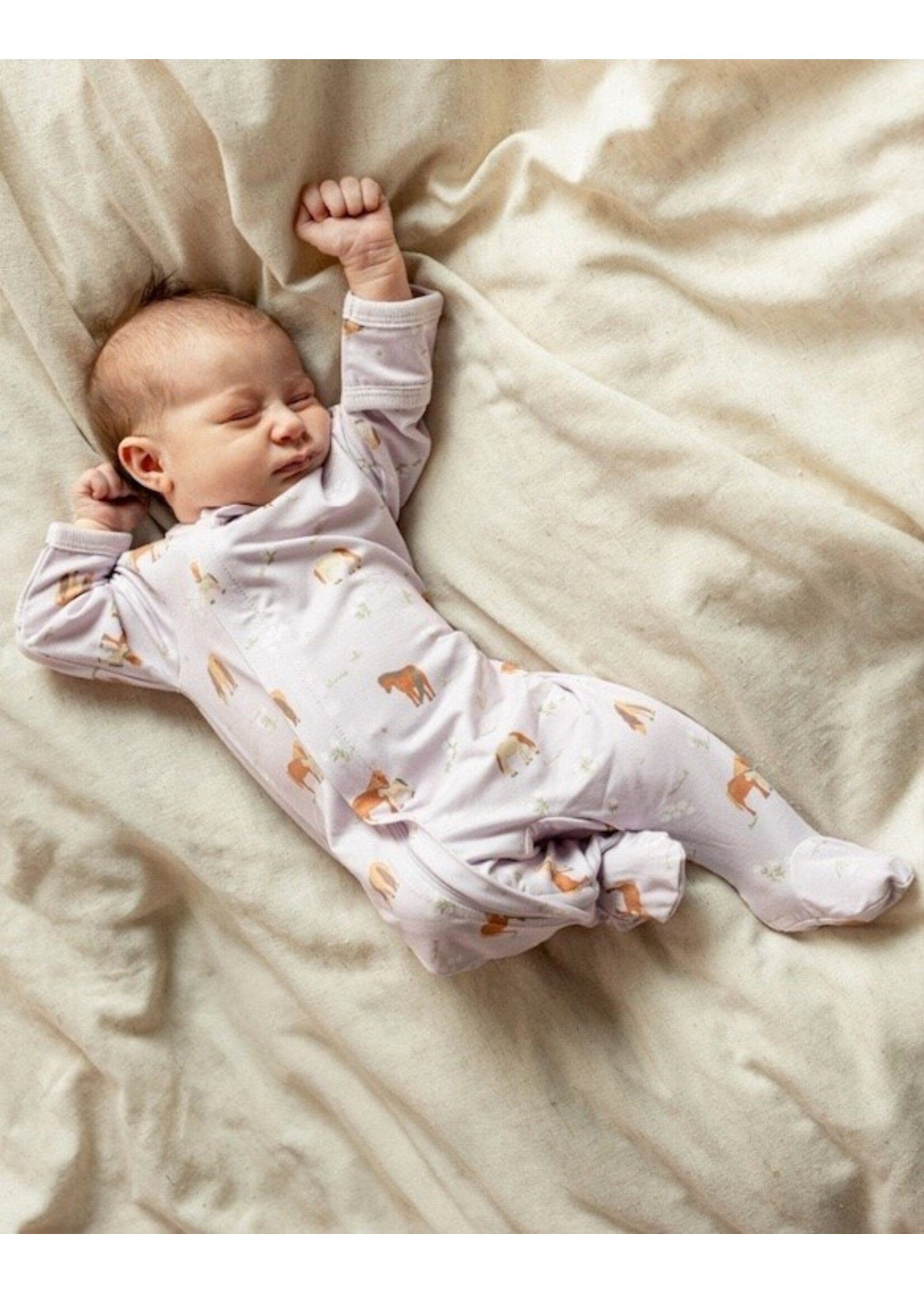 Coccoli Coccoli, Horse Print Modal Zipper Footie || Lilac