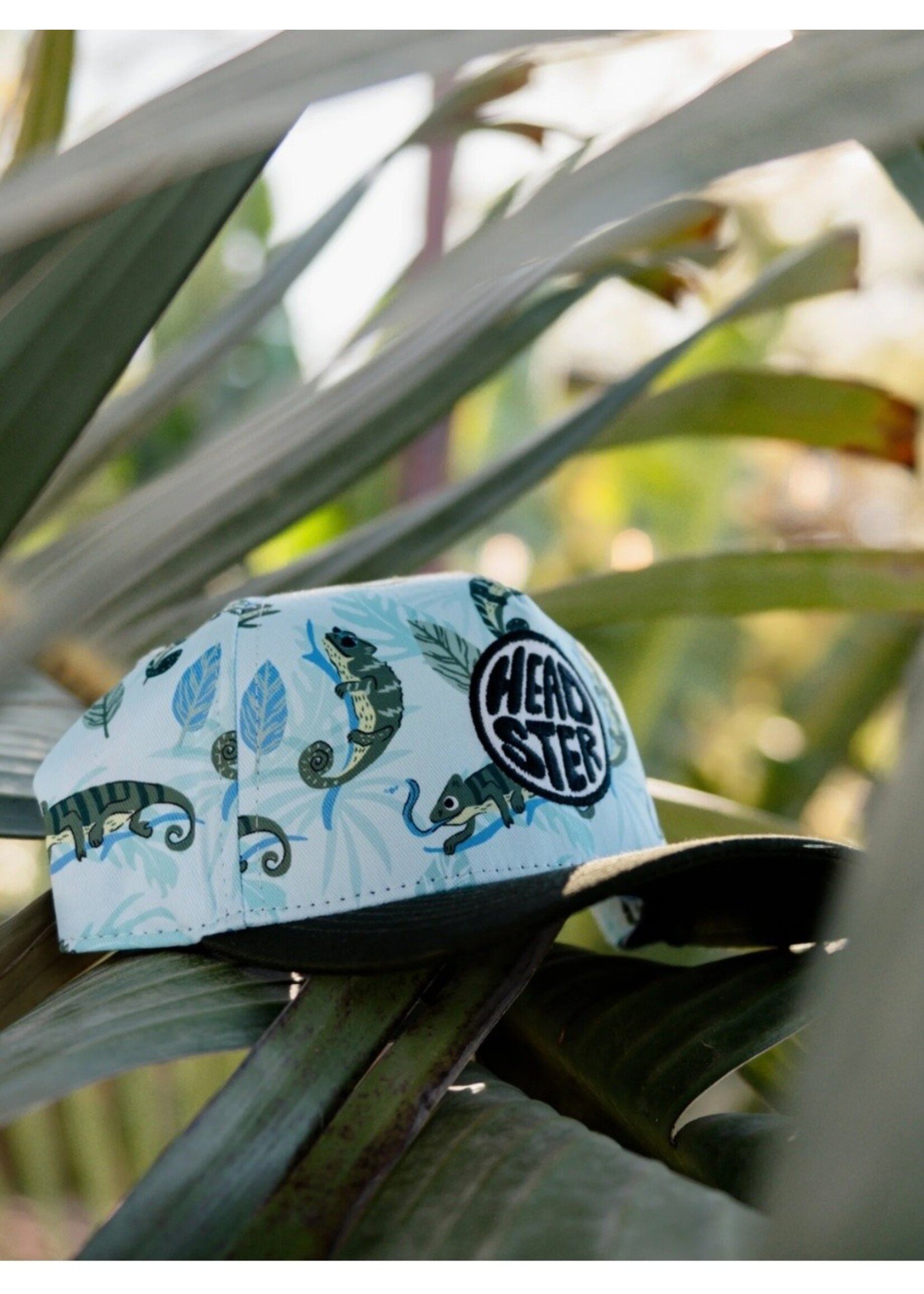 Headster Kids Headster Kids, Mister Chameleon Curved Brim Snapback || Crystal