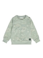 Dirkje Dirkje, Boys' Turtle Print Sweatshirt || Soft Green