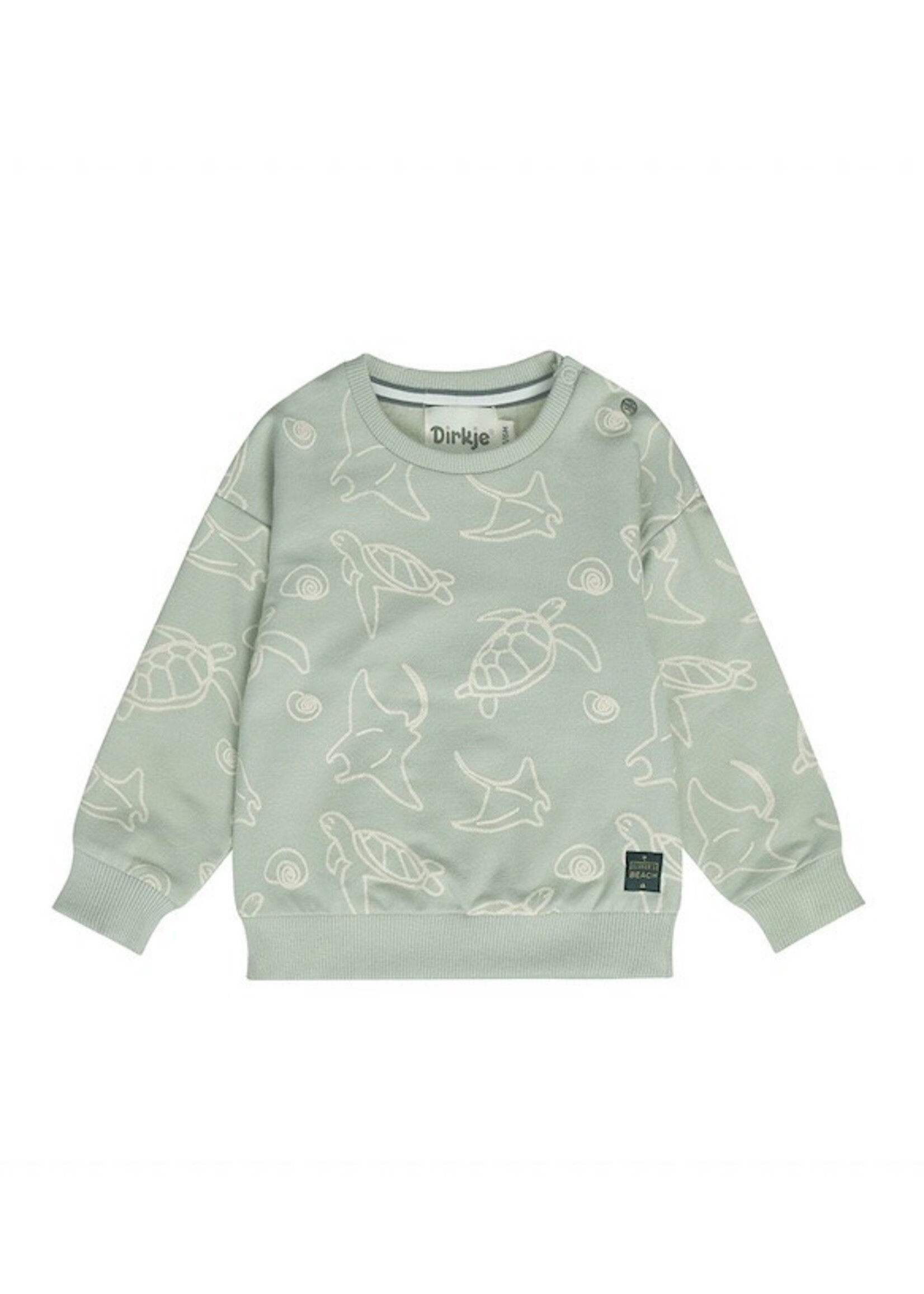 Dirkje Dirkje, Boys' Turtle Print Sweatshirt || Soft Green