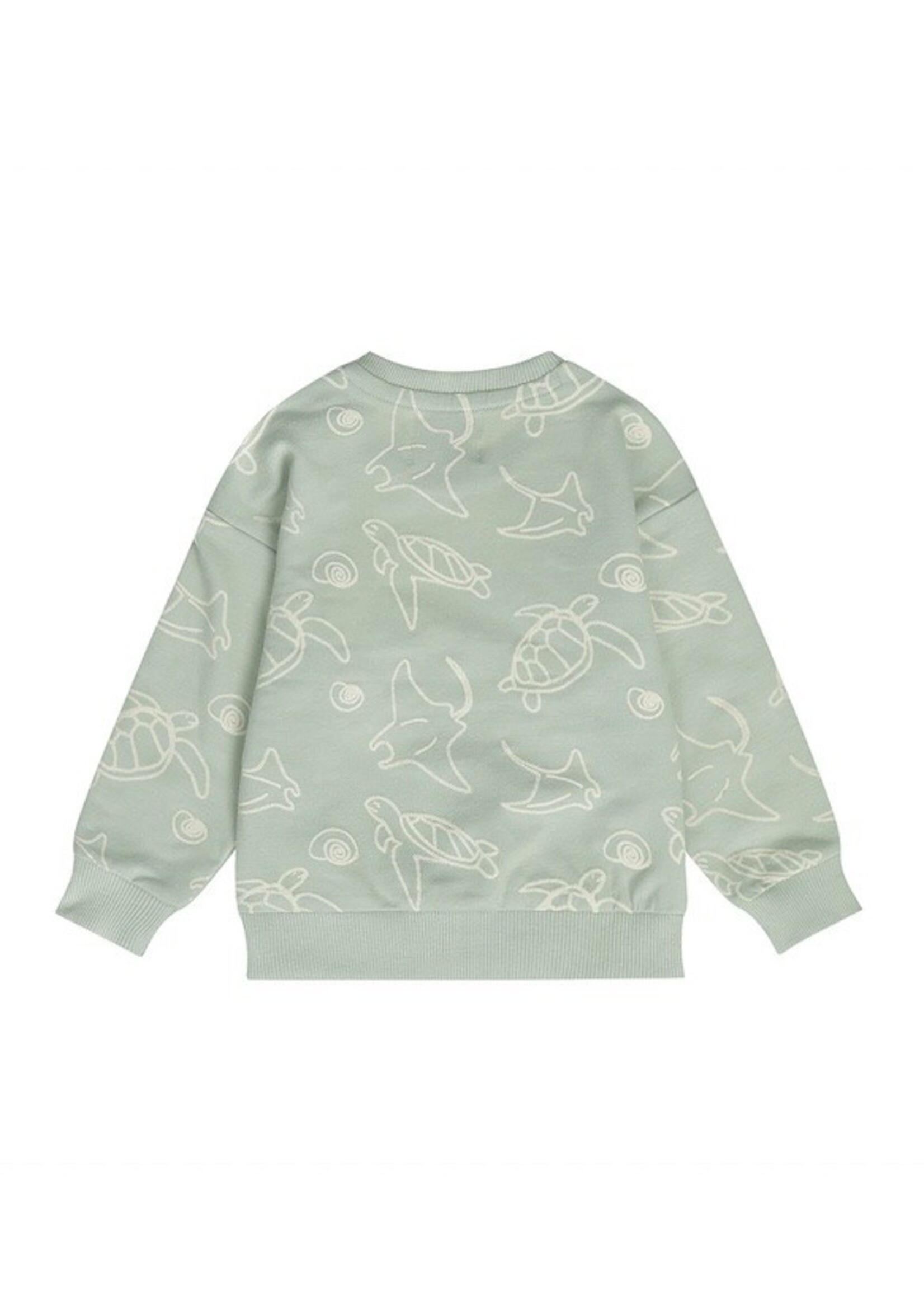 Dirkje Dirkje, Boys' Turtle Print Sweatshirt || Soft Green