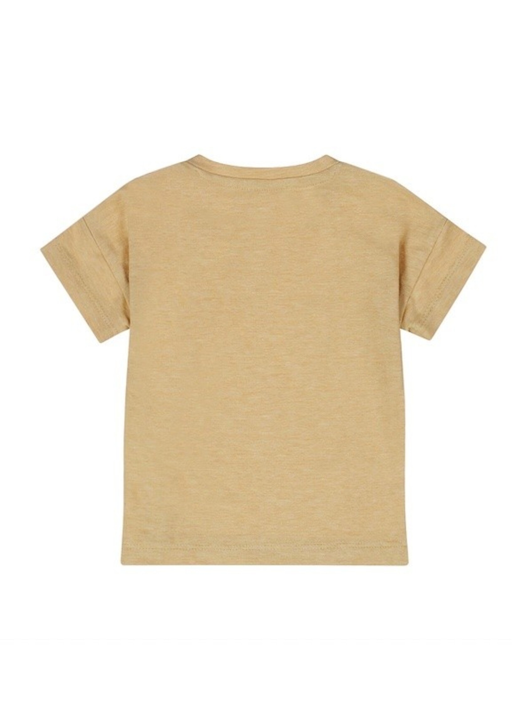Dirkje Dirkje, Boys' Palm Embroidered T-shirt || Camel