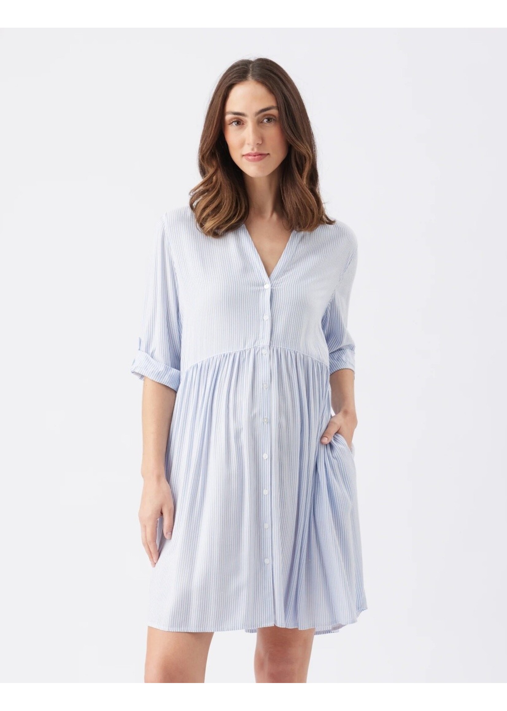 Ripe Maternity Ripe Maternity, Sam Stripe Dress || Sky Blue / White