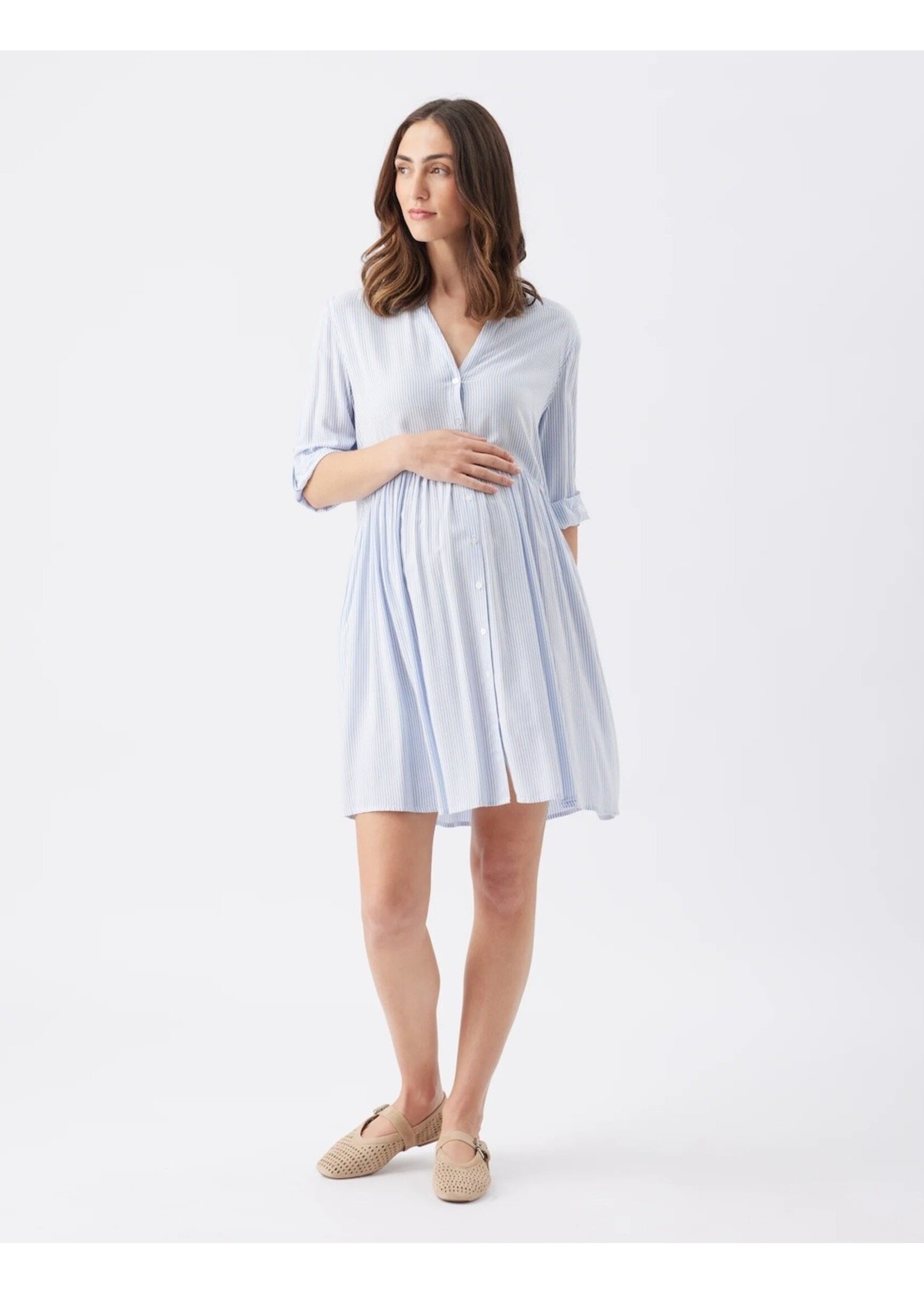 Ripe Maternity Ripe Maternity, Sam Stripe Dress || Sky Blue / White