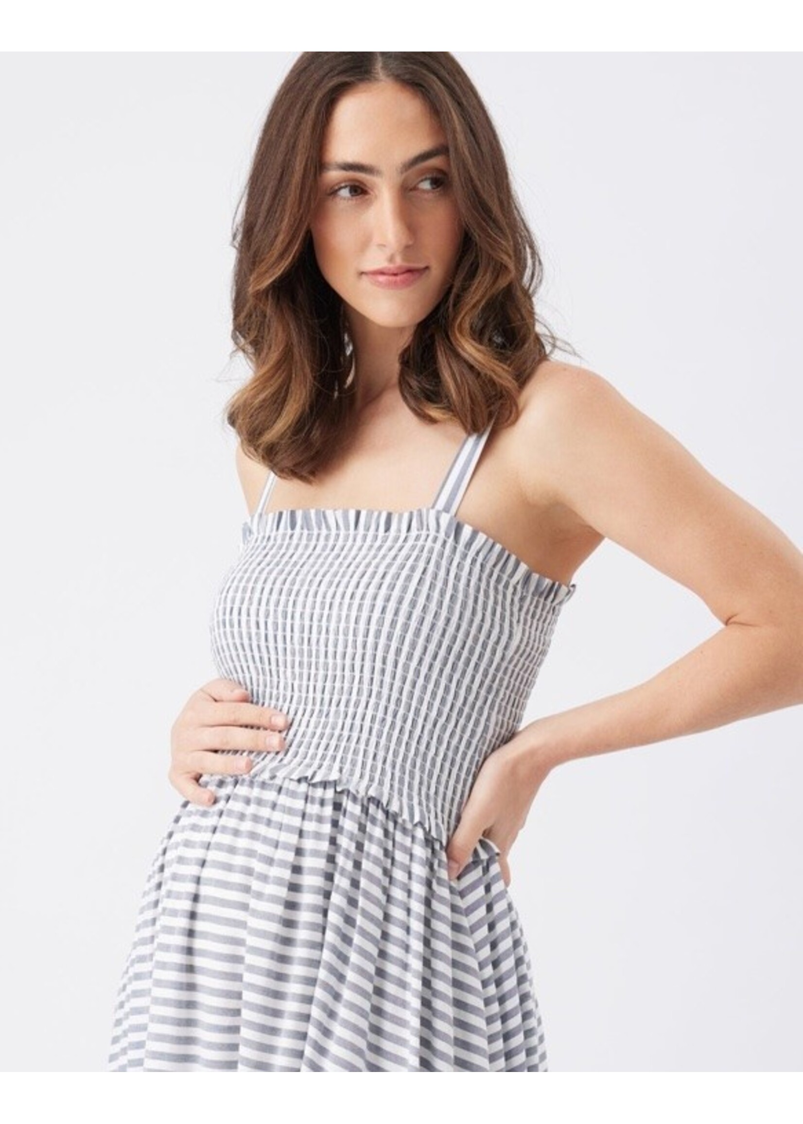 Ripe Maternity Ripe Maternity, Sofia Stripe Dress || Indigo / White