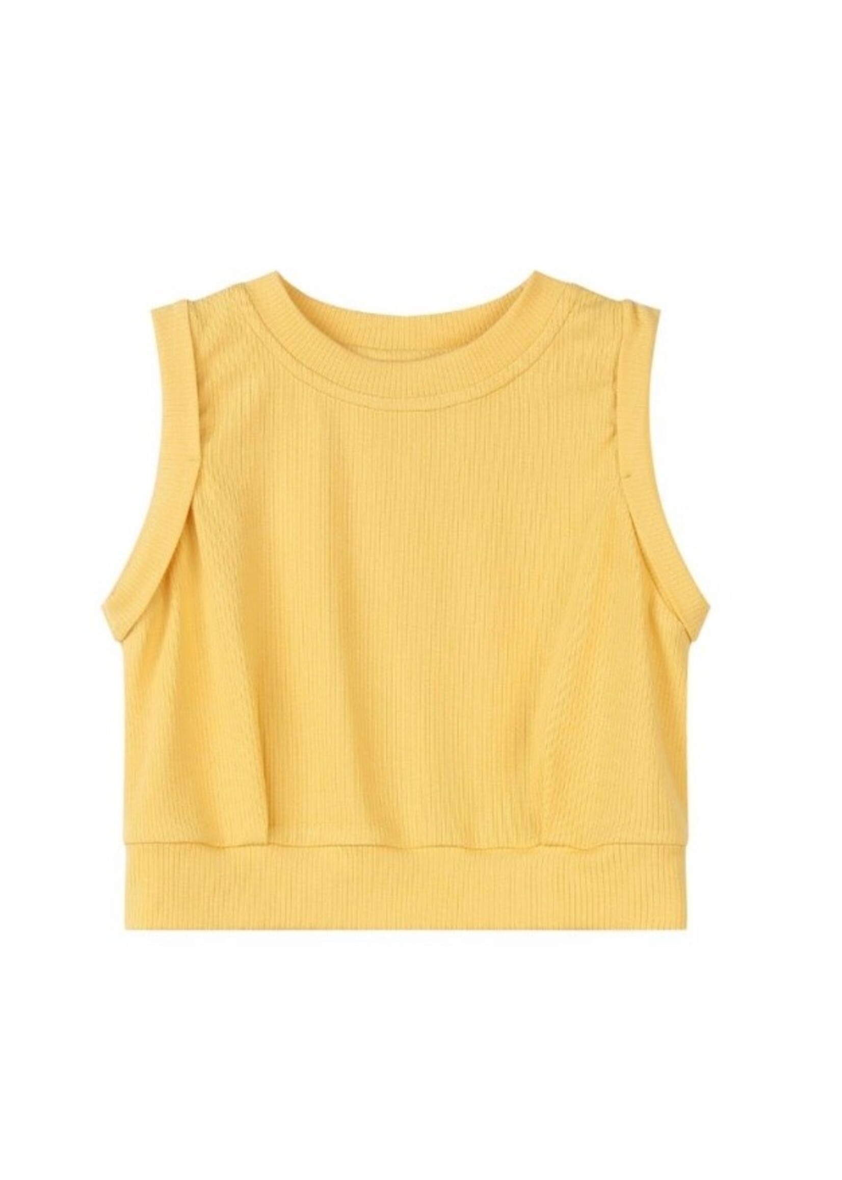 Vignette Vignette, Danny Top  || Gold Rib