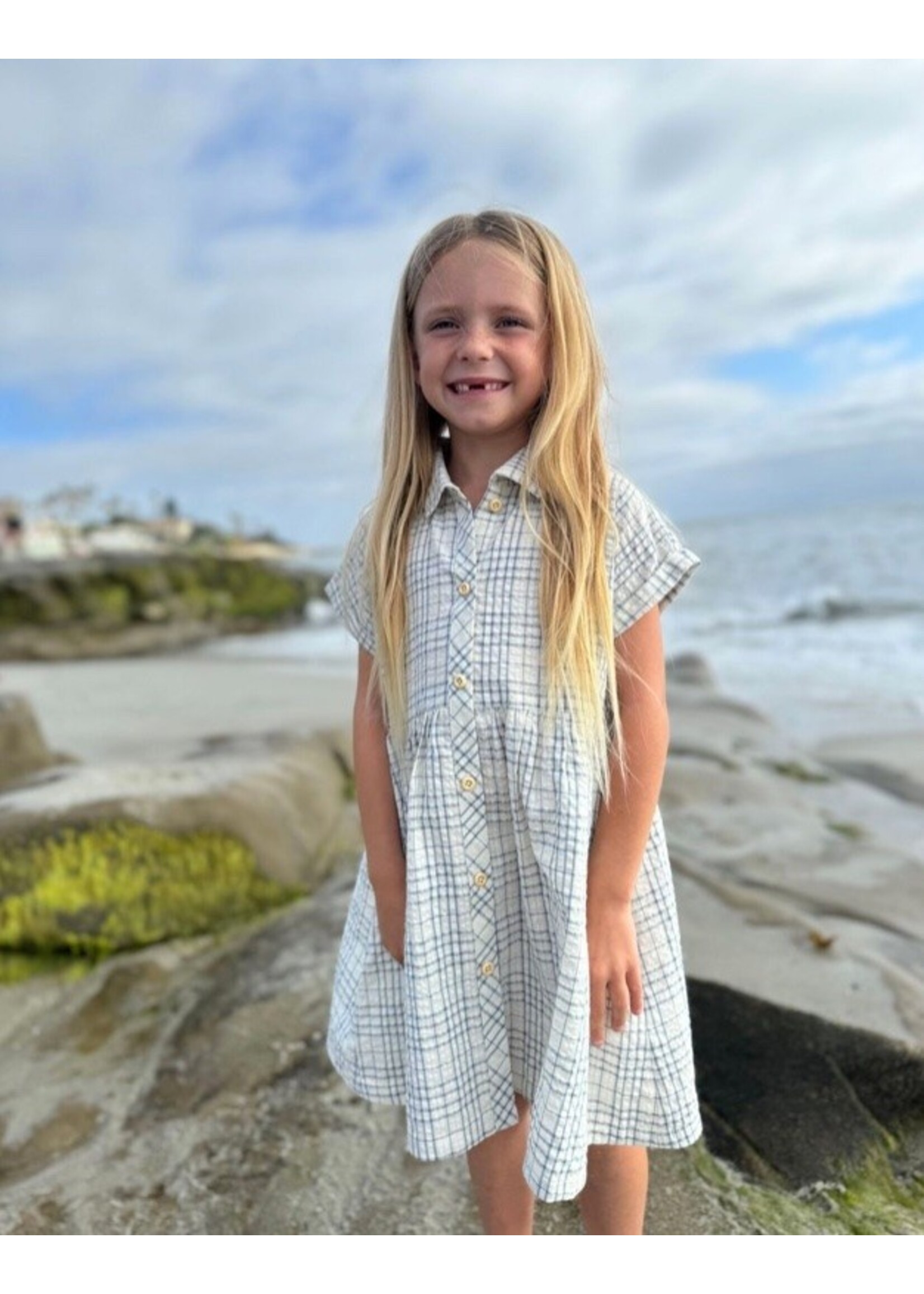 Vignette Vignette, Heather Dress || Blue Plaid Seersucker