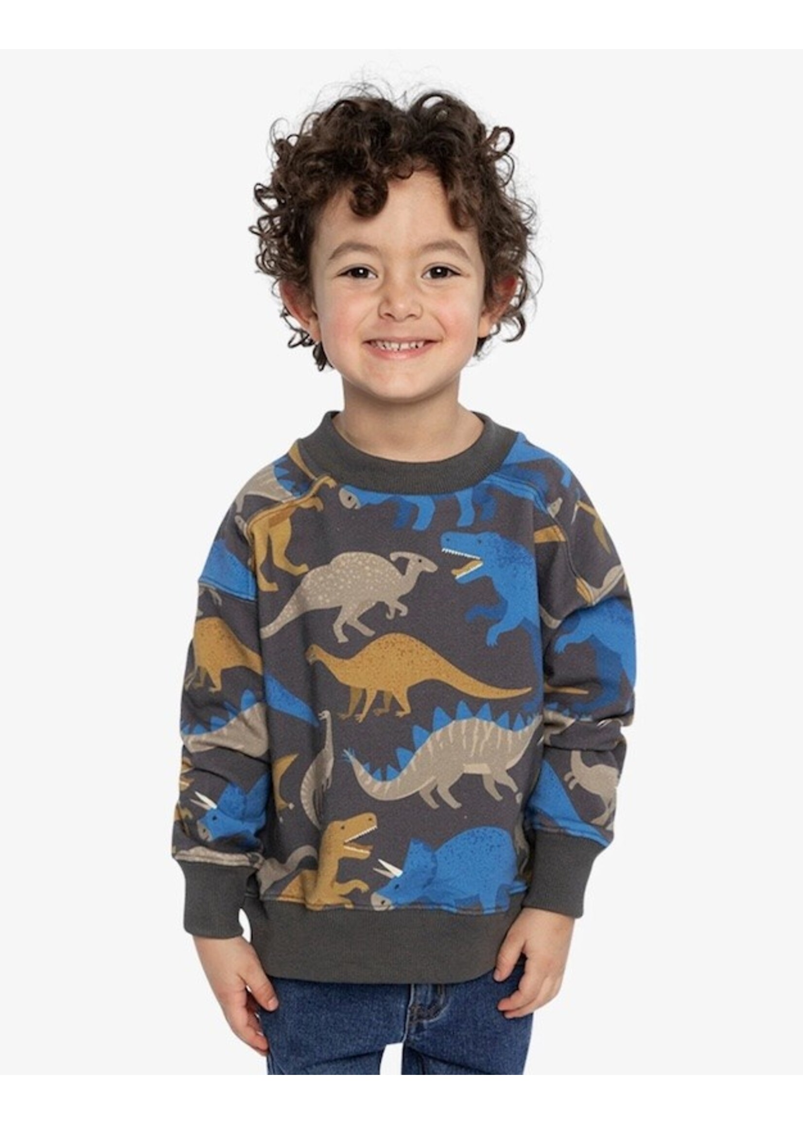Deux Par Deux Deux Par Deux, Dinosaur Print Fleece Sweatshirt || Grey