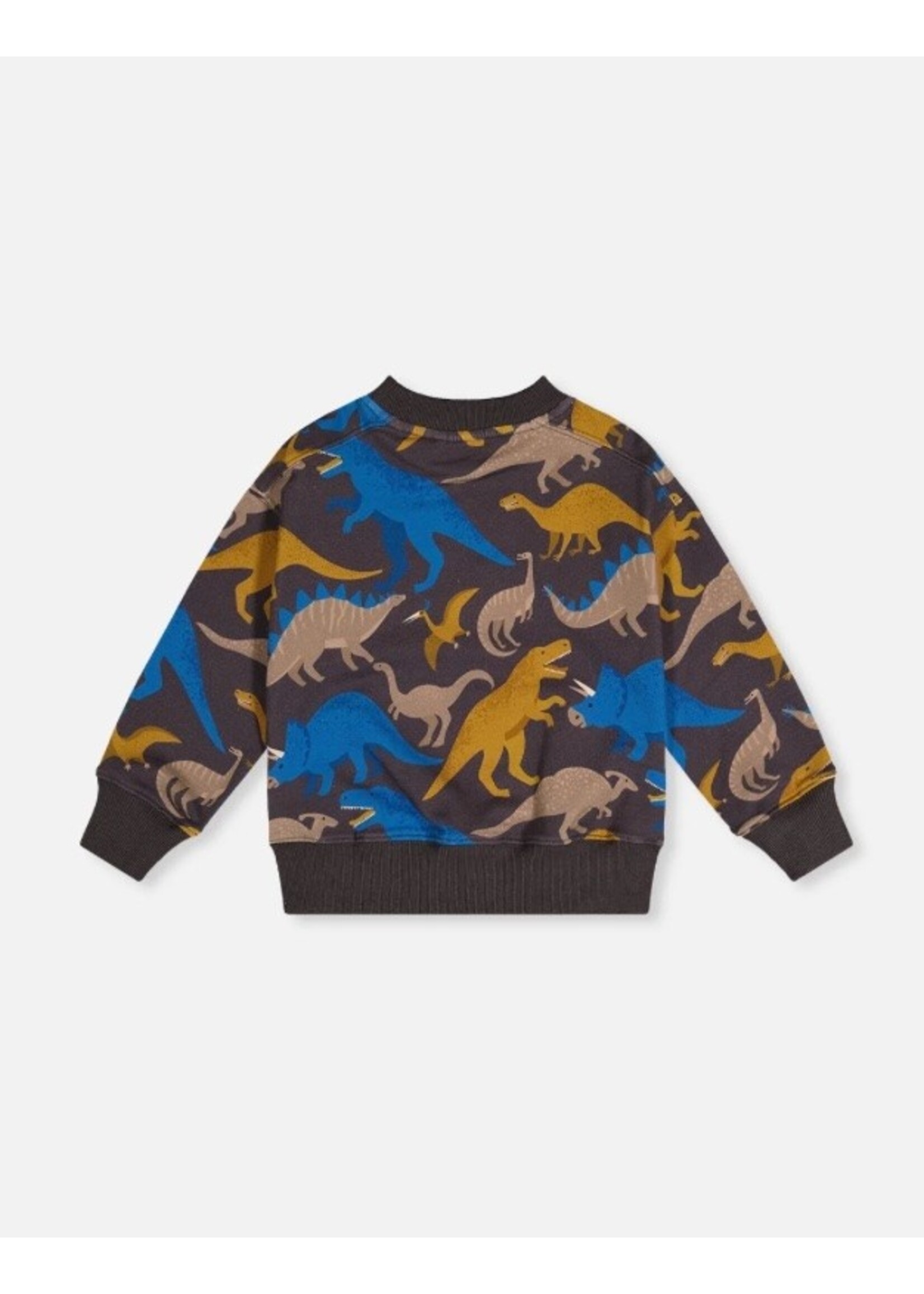Deux Par Deux Deux Par Deux, Dinosaur Print Fleece Sweatshirt || Grey