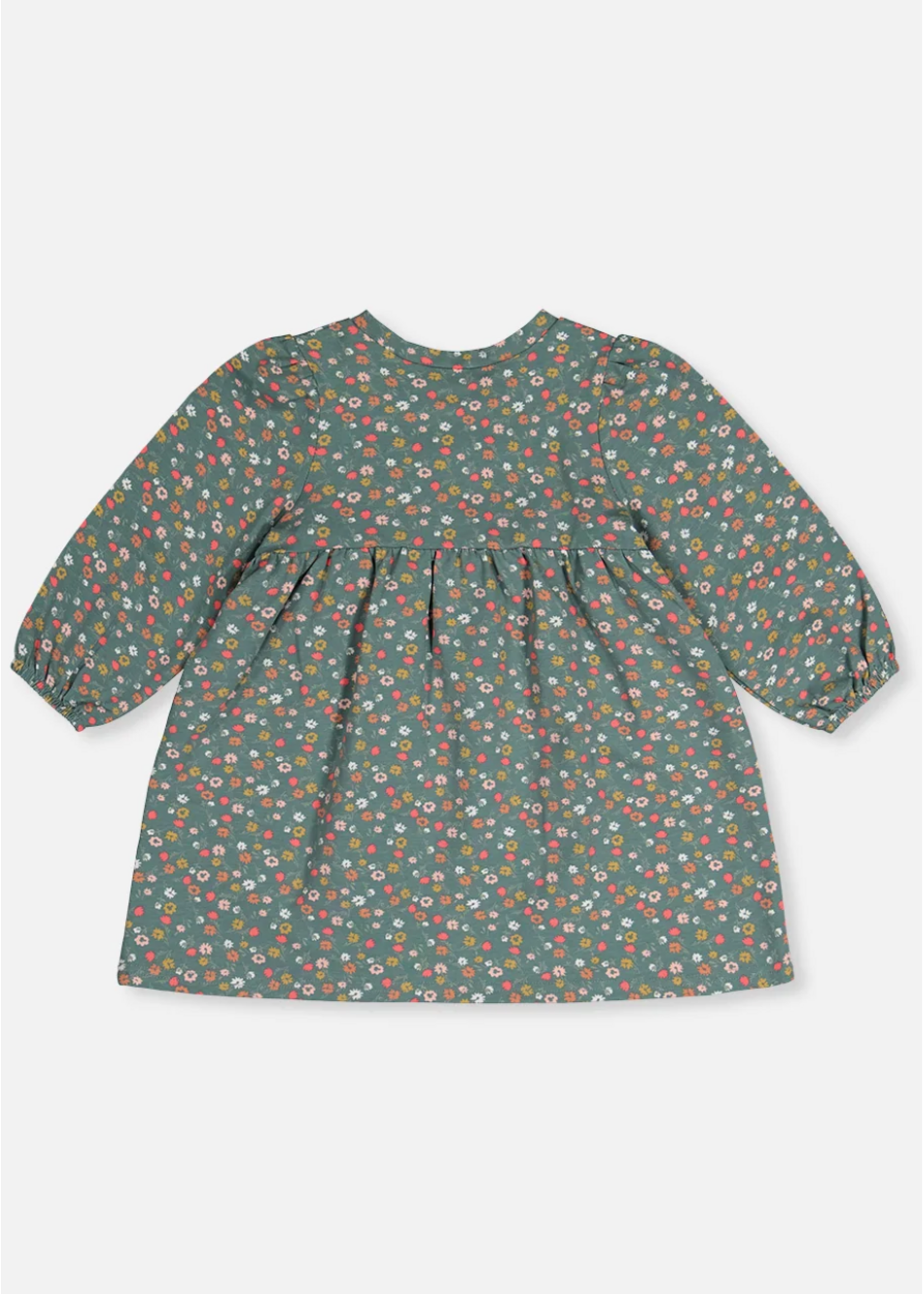 Deux Par Deux Deux Par Deux, Cat Applique Organic Cotton Printed Dress || Green Floral Print